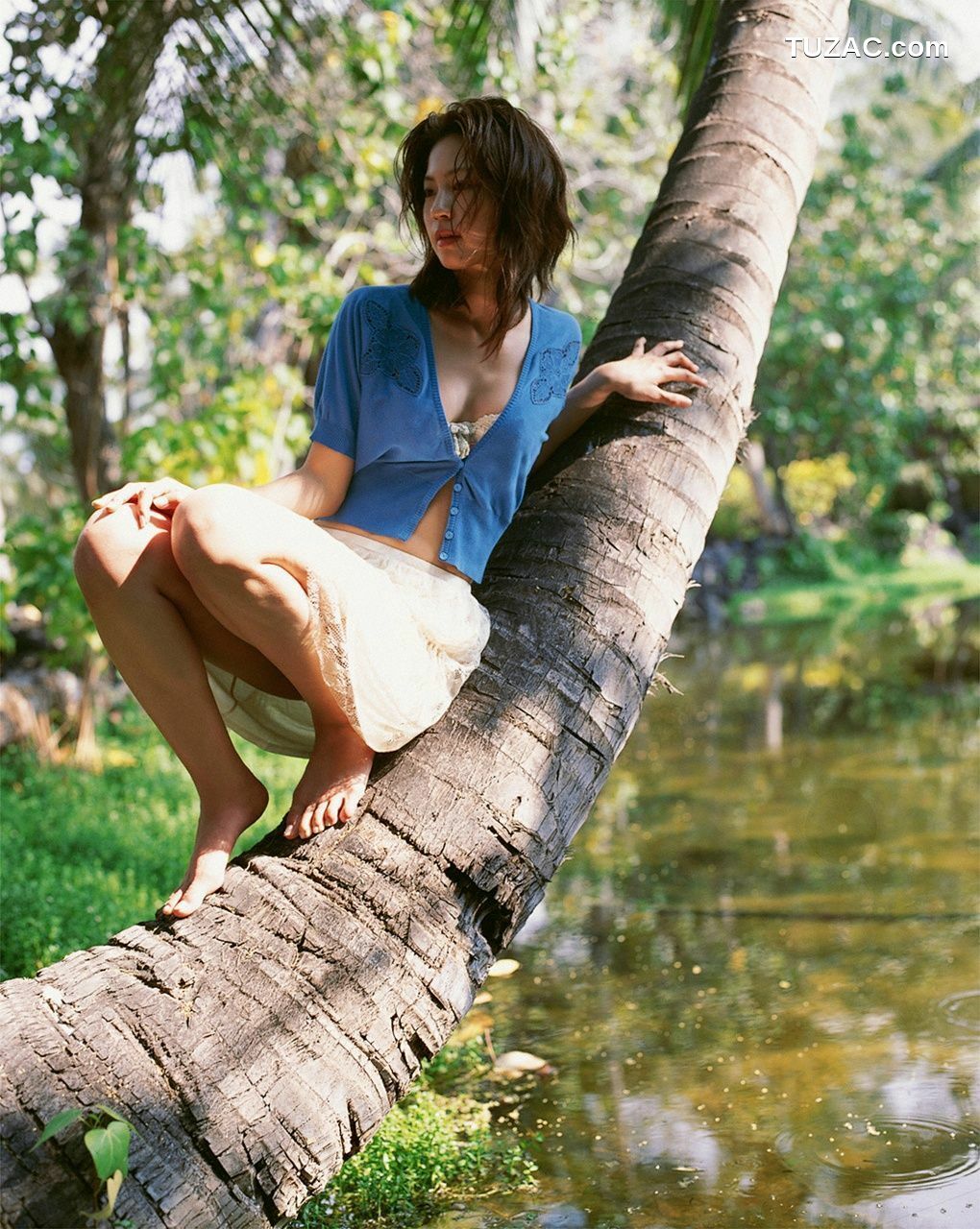 WPB写真_安田美沙子 Yasuda Misako No.85 写真集[117P]