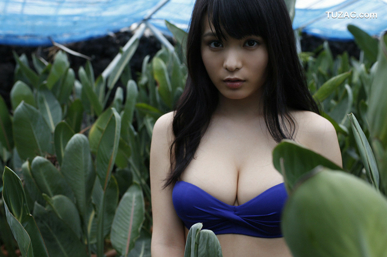 WPB写真_星名美津紀 Mizuki Hoshina No.172 写真集[135P]