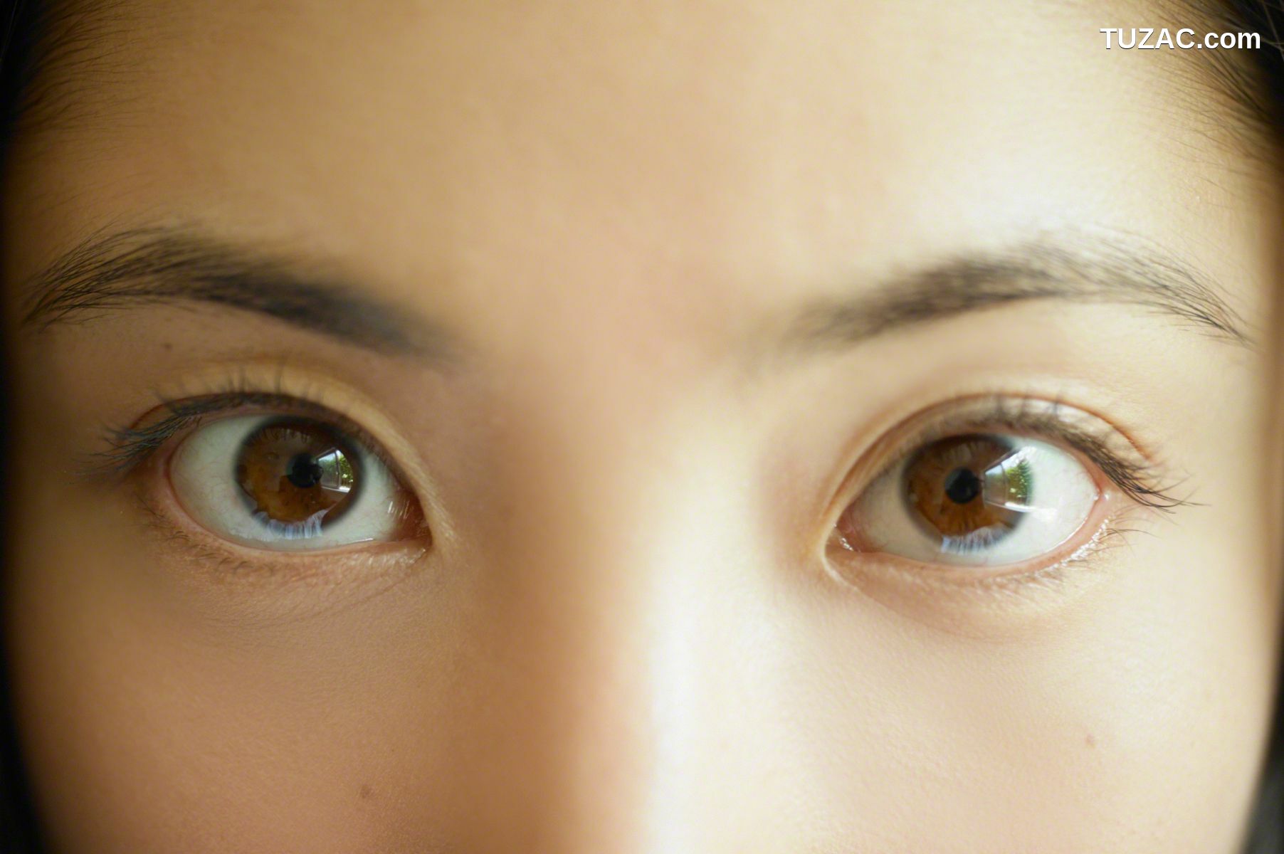 Wanibooks_ NO.119 Saaya Irie 入江紗綾 写真集[185P]