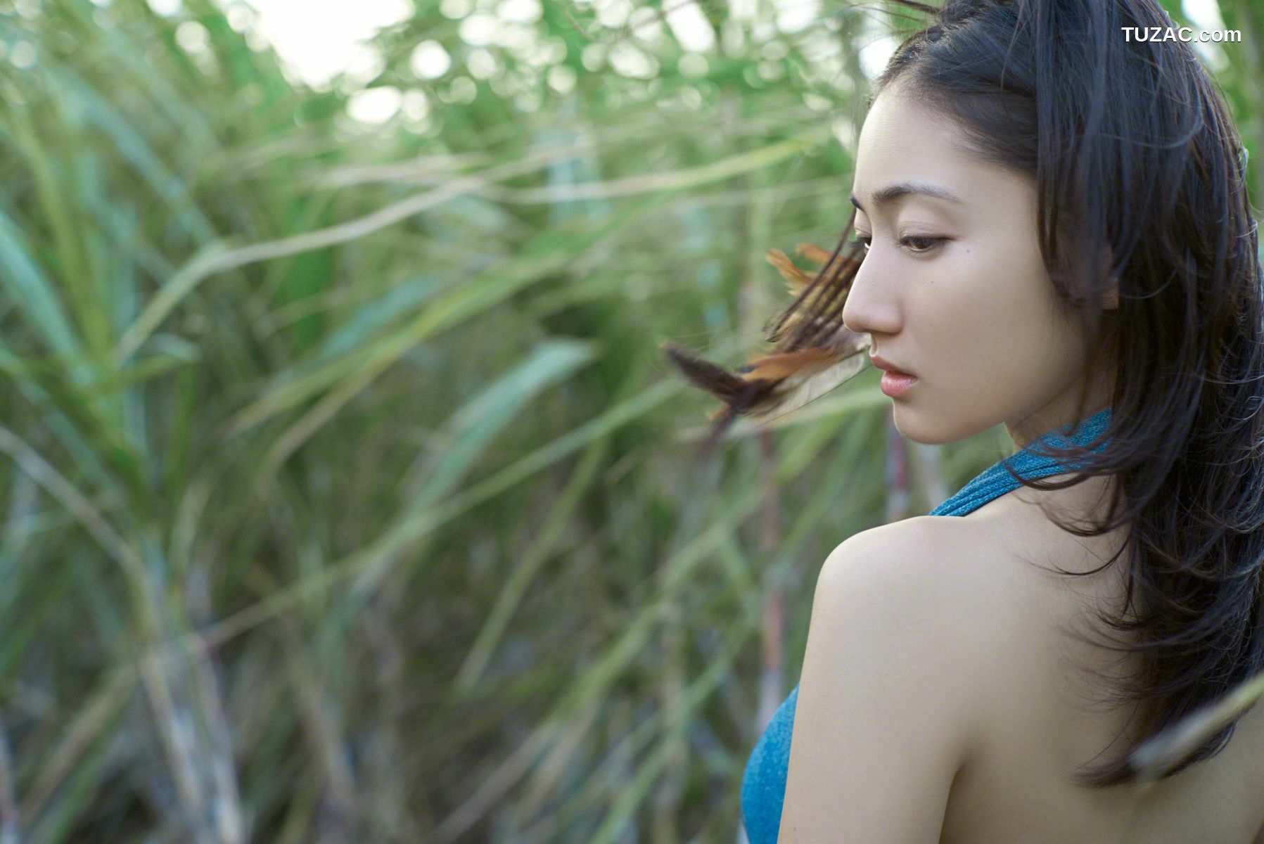 Wanibooks_ NO.119 Saaya Irie 入江紗綾 写真集[185P]