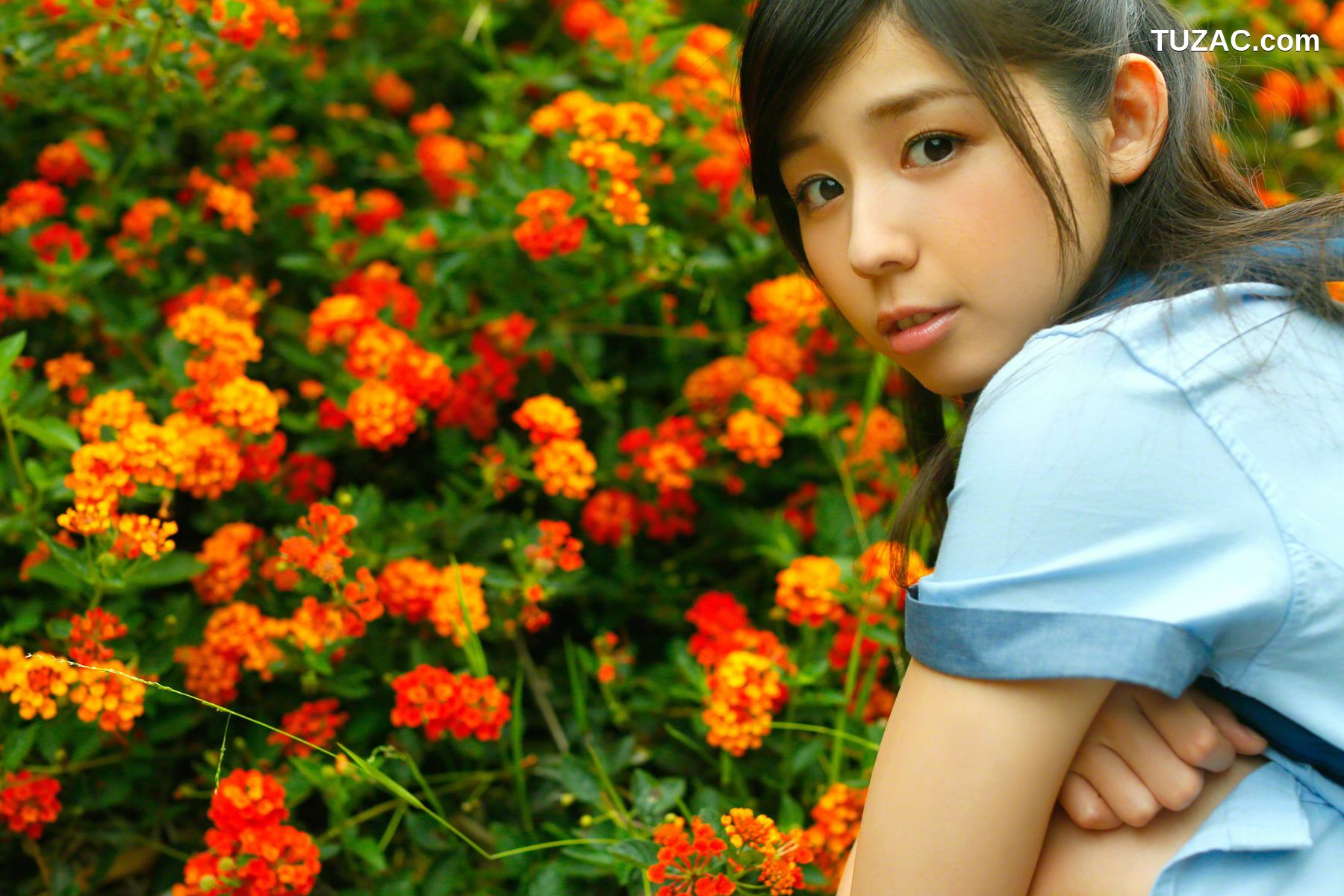 Wanibooks_ NO.126 Rina Koike 小池里奈 写真集[199P]