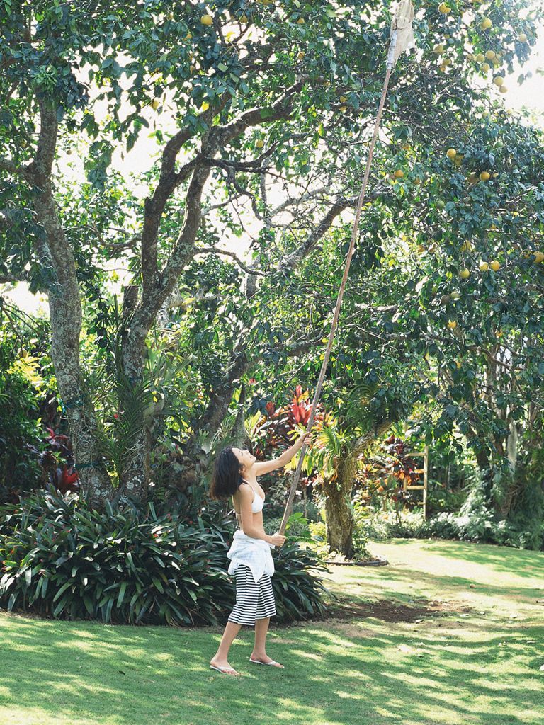 Wanibooks_ NO.41 Mayumi Ono 小野真弓 写真集[168P]