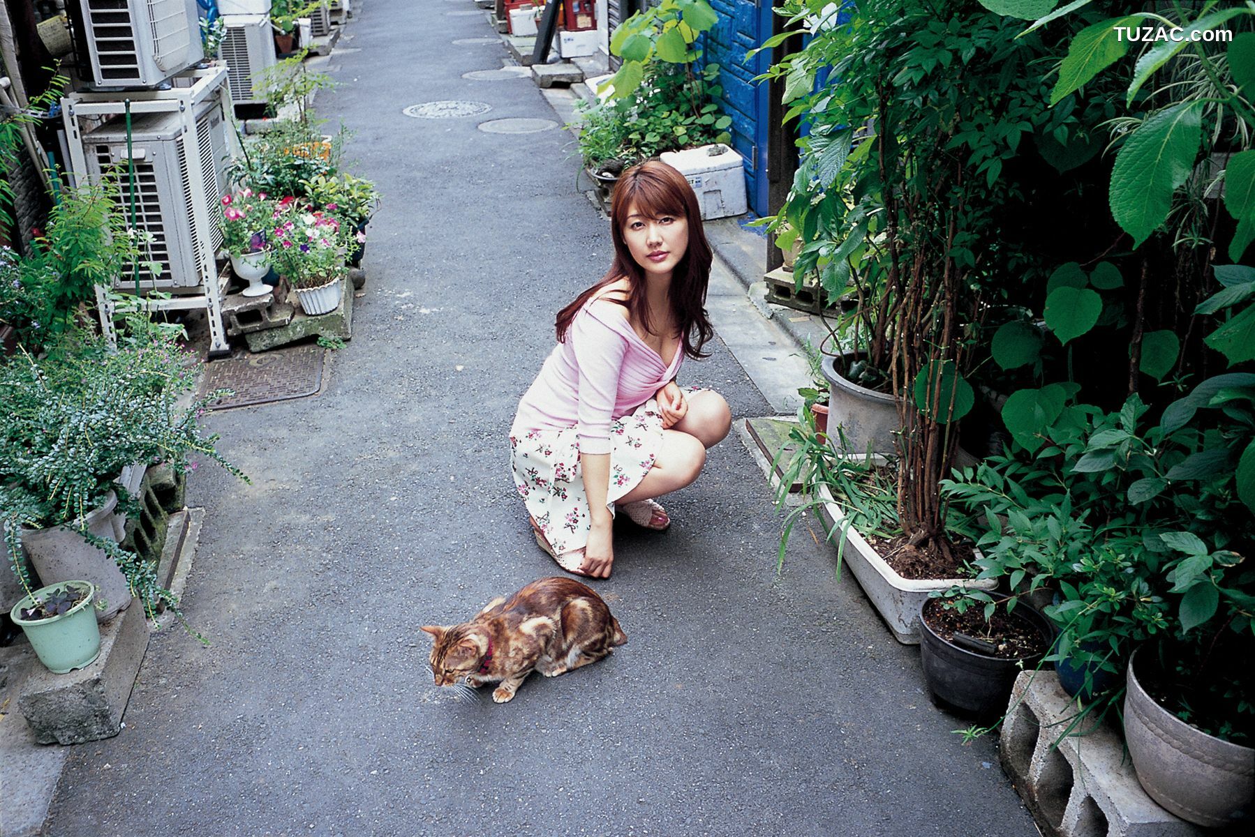 Wanibooks_ NO.71 Megumi Yasu 安めぐみ/安惠美 写真集[198P]