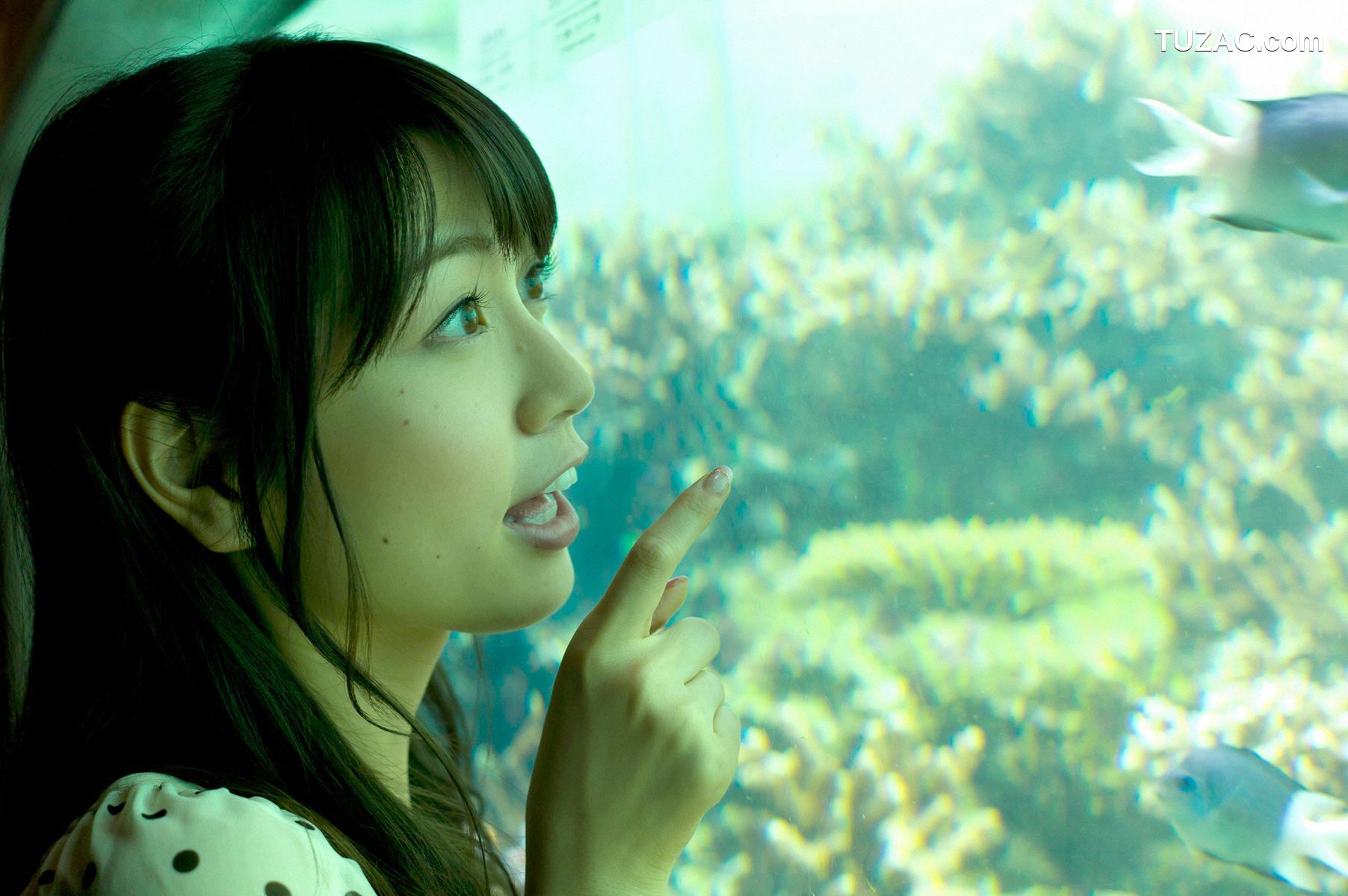 Wanibooks_ NO.95 Chihiro Terada 寺田千寻/寺田ちひろ 写真集[217P]