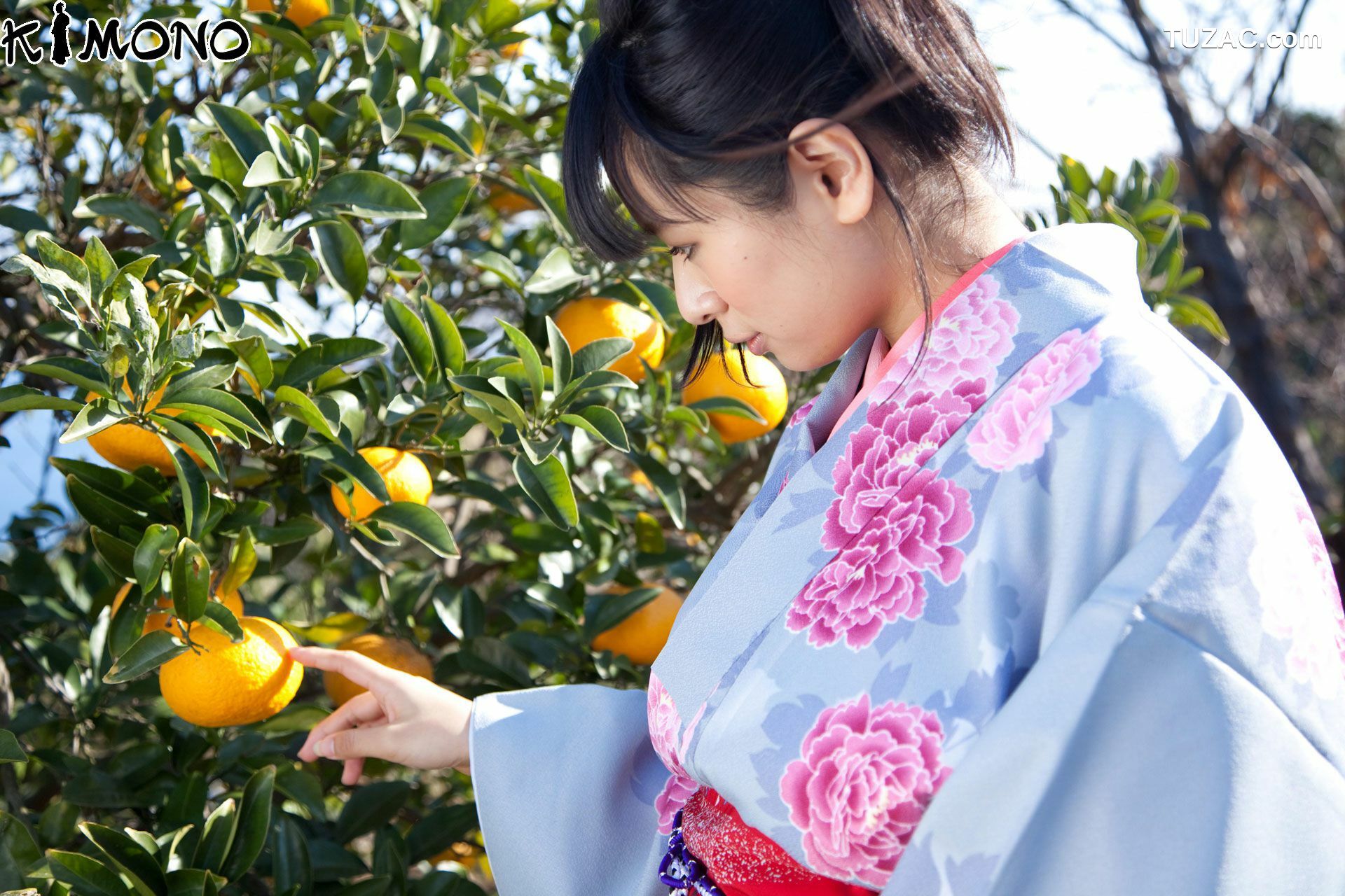 X-City_ KIMONO和テイスト 033 春菜はな Hana Haruna 写真集[65P]