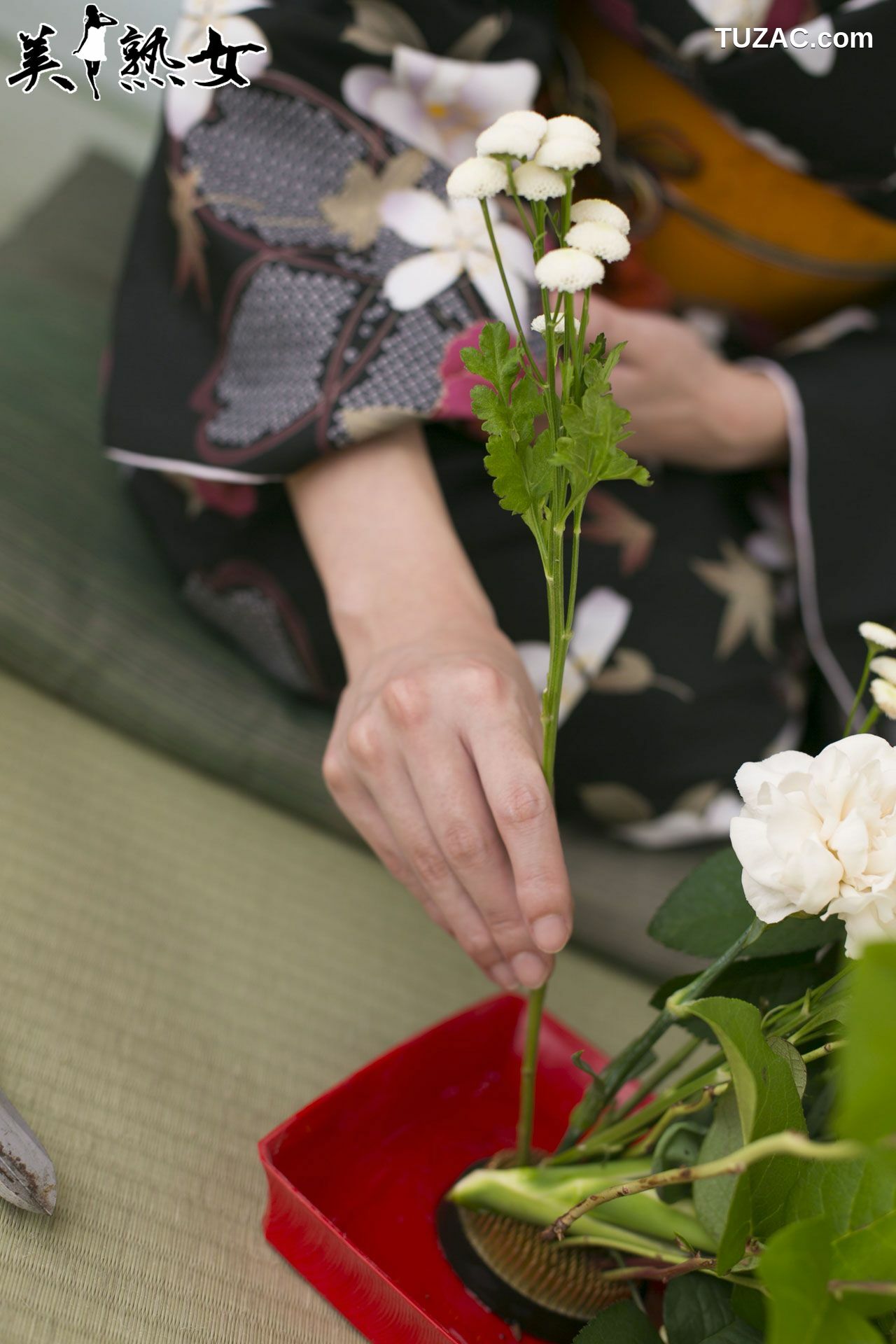 X-City_ 美熟女[JUKUJO] 愛田奈々/三津なつみ 写真集[70P]