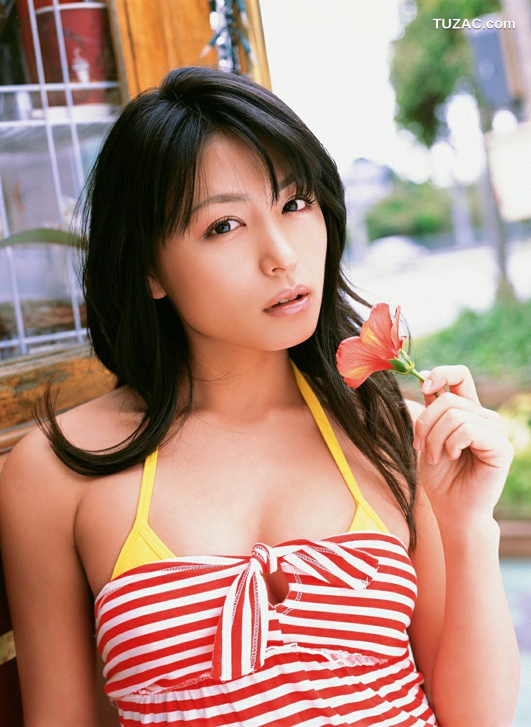 YS Web_ Vol.255 Yukie Kawamura 川村ゆきえ/川村由纪惠 写真集[96P]