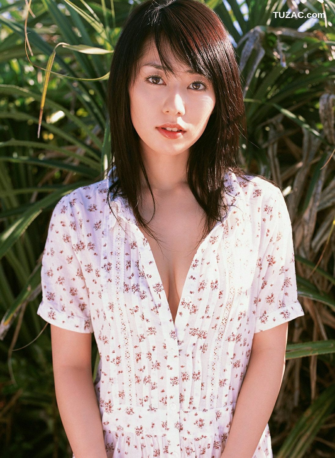 YS Web_ Vol.279 Momoko Tani 谷桃子 写真集[65P]