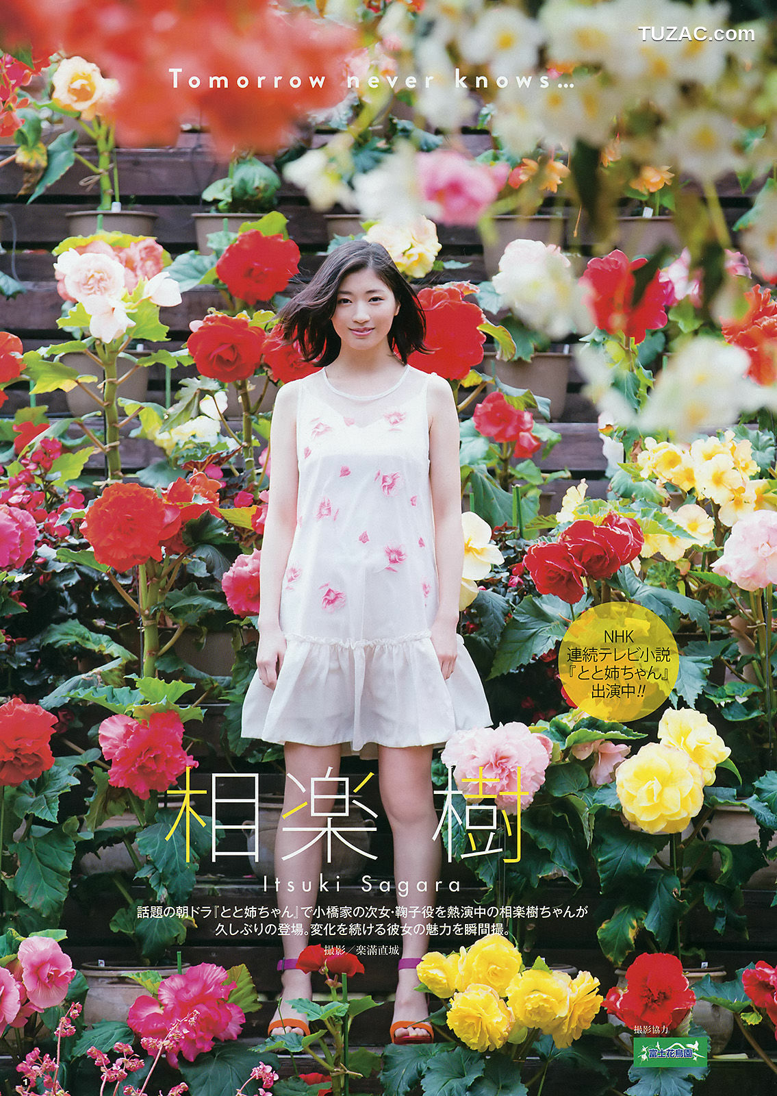 Young Gangan杂志写真_ 兒玉遥 相楽樹 2016年No.11 写真杂志[15P]