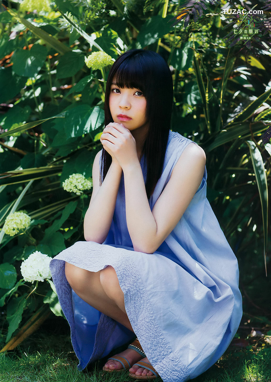 Young Gangan杂志写真_ 守屋茜 小林由依 佐藤詩織 2017年No.14 写真杂志[19P]