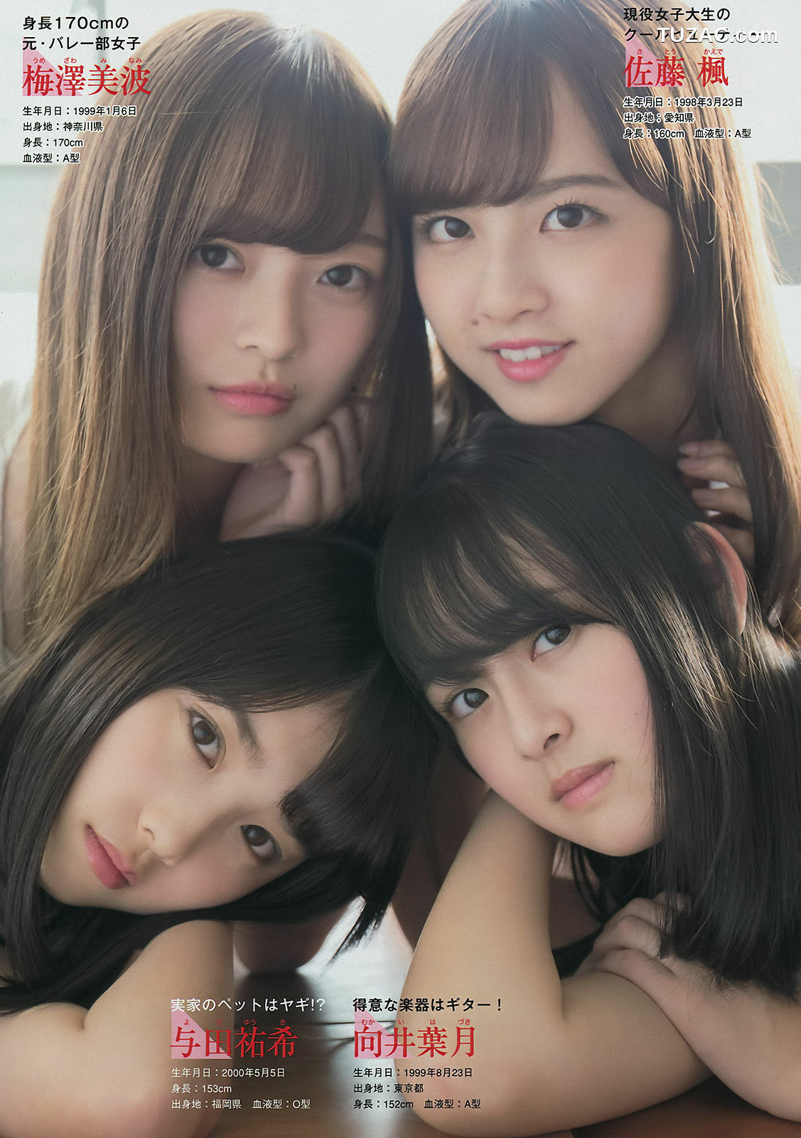 Young Magazine杂志写真_ 乃木坂46 2017年No.02-03 写真杂志[16P]