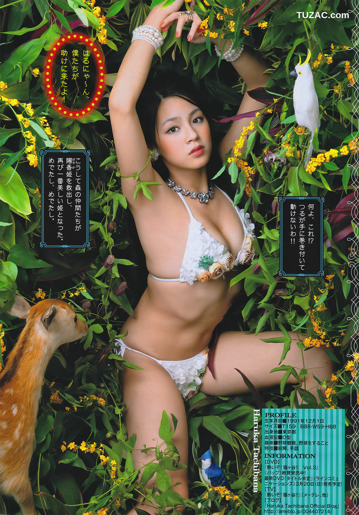 Young Magazine杂志写真_ 桜庭ななみ 2011年No.08 写真杂志[17P]