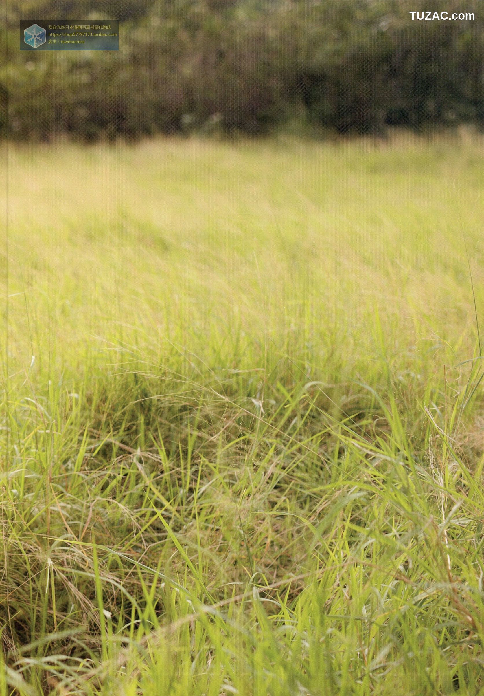 三上悠亚《Here-you-are》