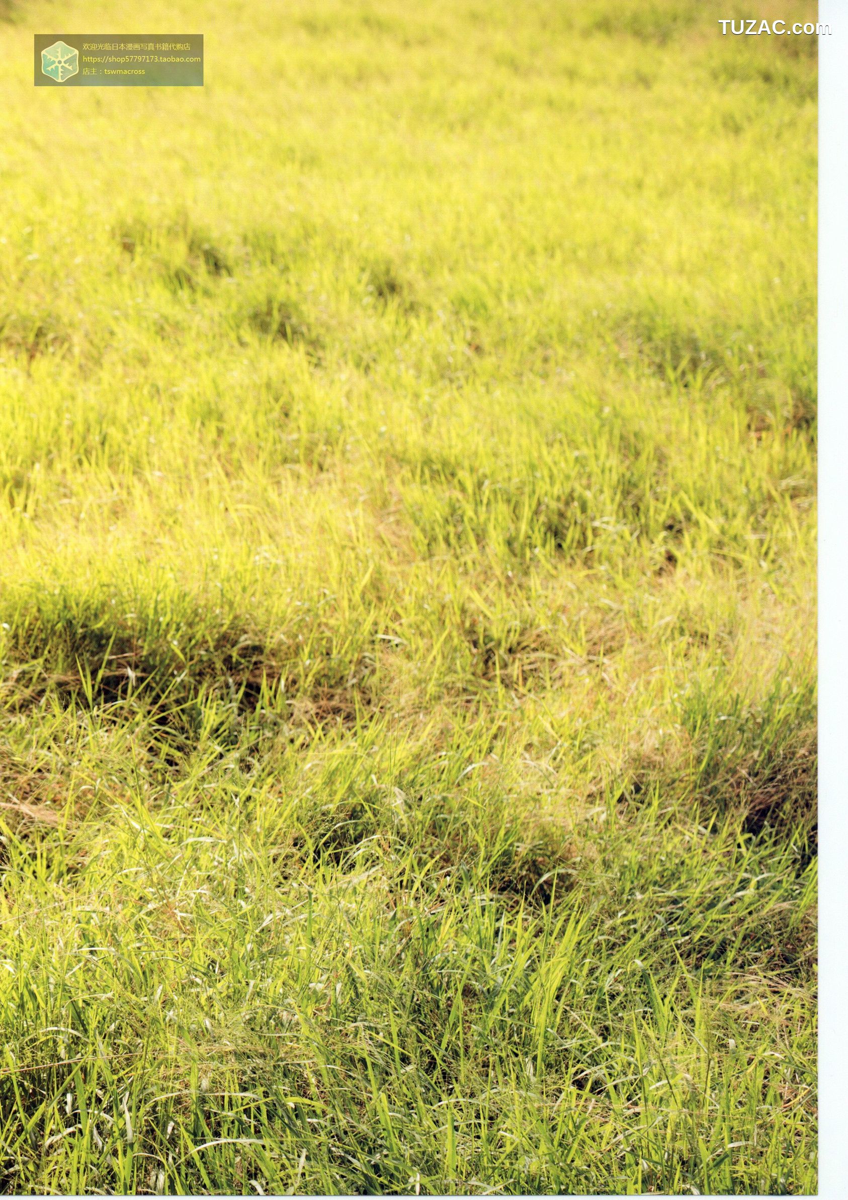 三上悠亚《Here-you-are》