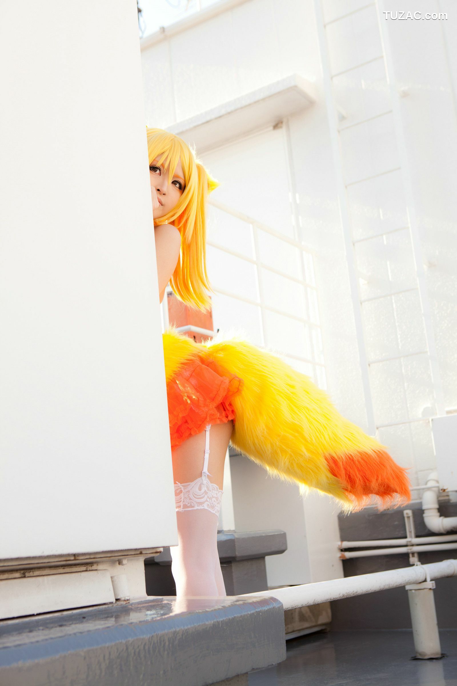 日本CosPlay_Na-san(なーさん) 《Pocket Monsters》Fennekin  写真集[100P]