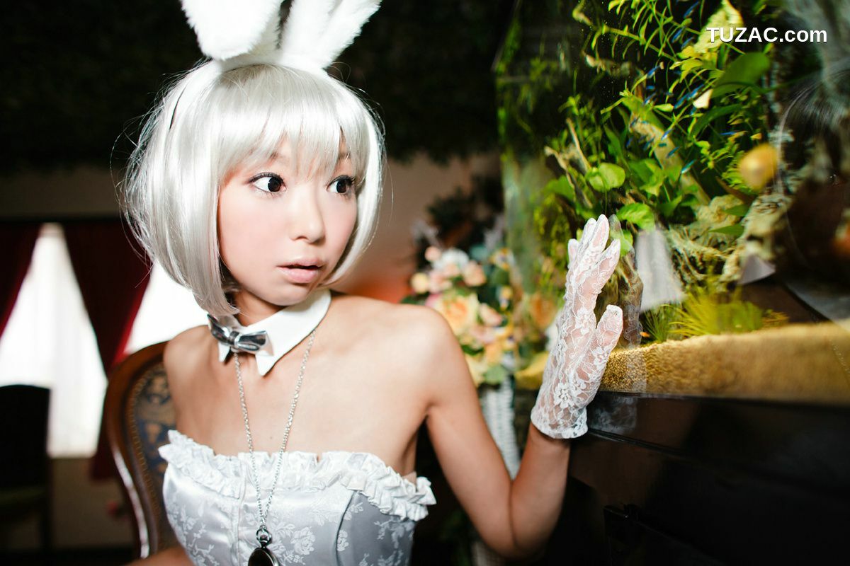 日本CosPlay_Necoco(ねここ) 《爱丽丝梦游仙境》5Set 写真集