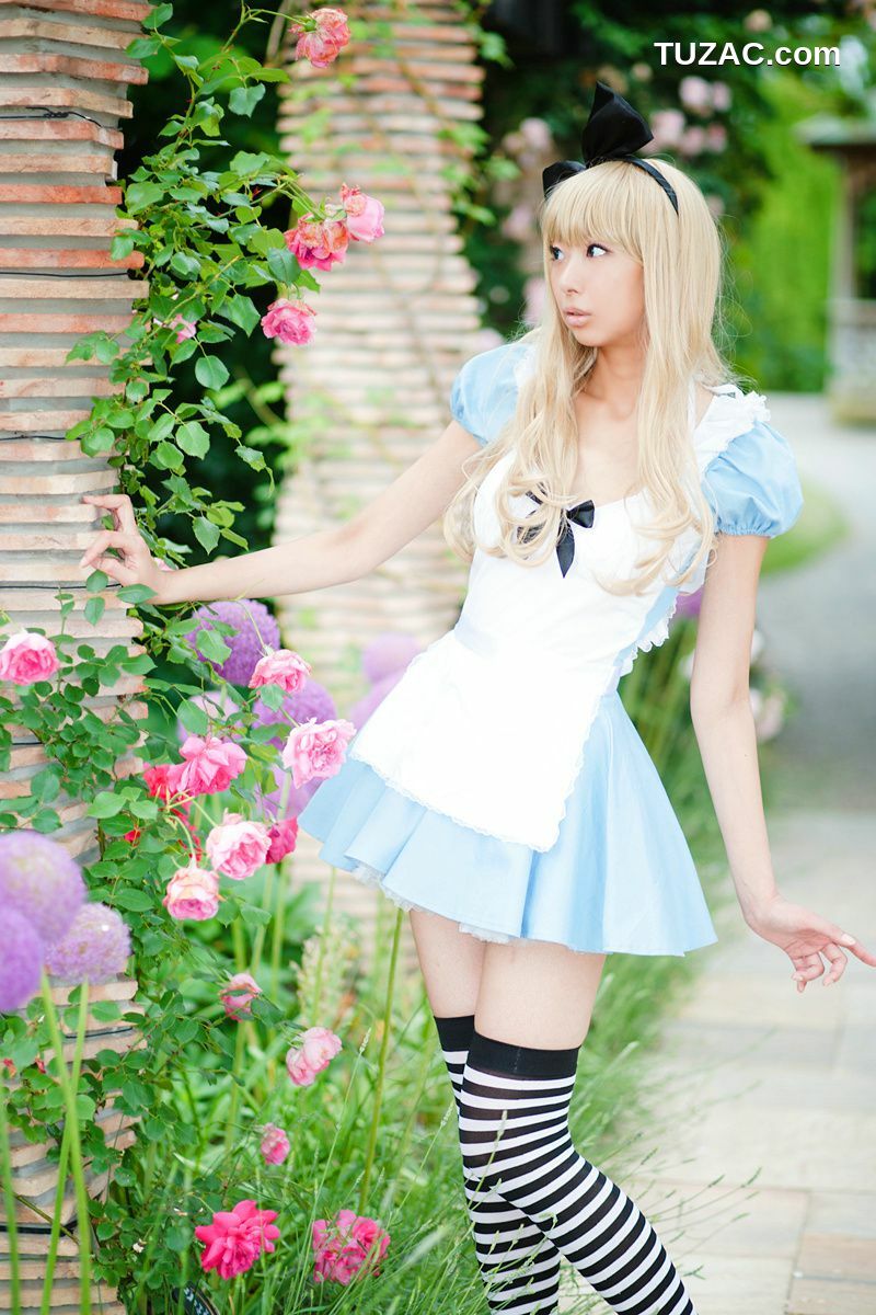 日本CosPlay_Necoco(ねここ) 《爱丽丝梦游仙境》5Set 写真集
