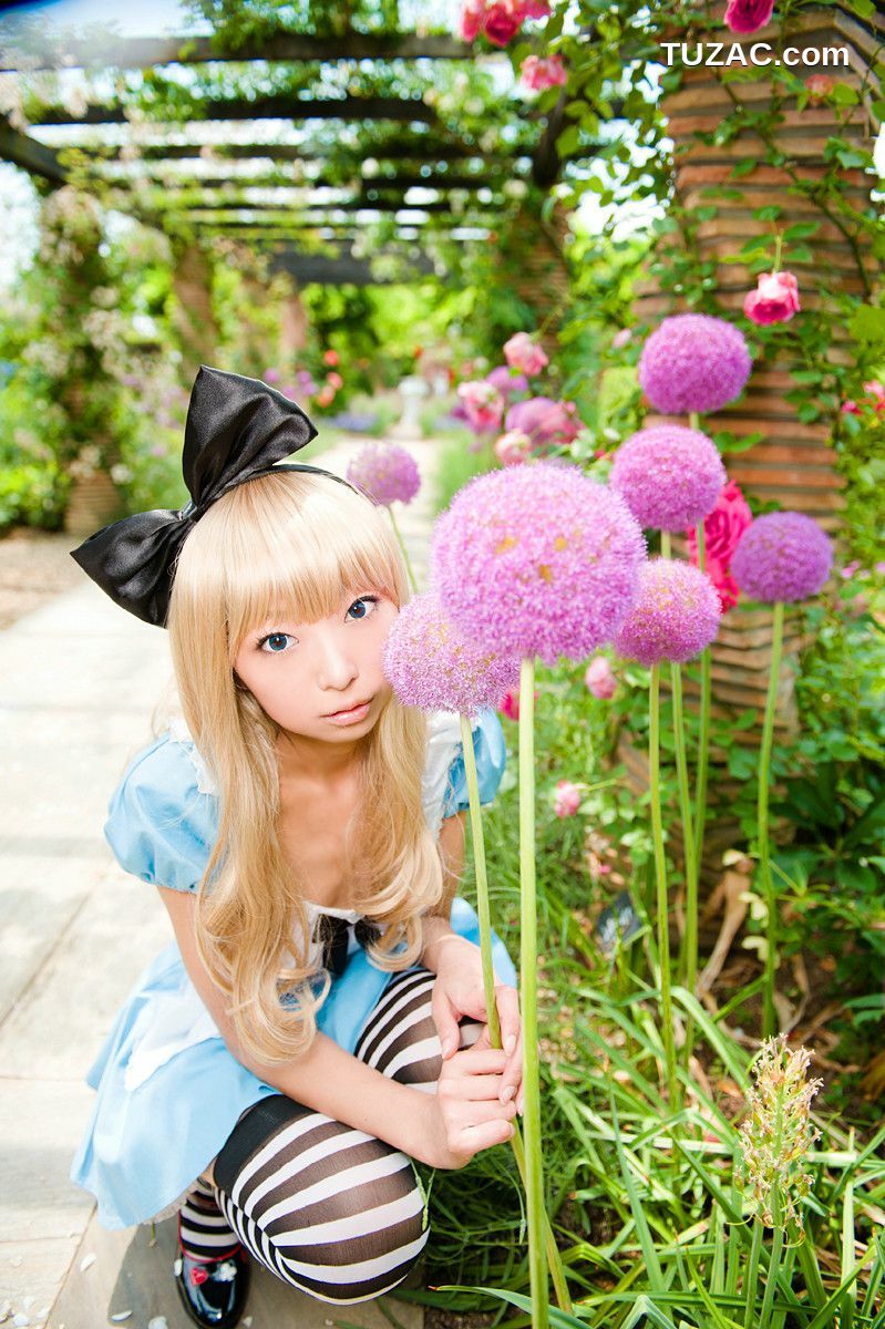 日本CosPlay_Necoco(ねここ) 《爱丽丝梦游仙境》5Set 写真集