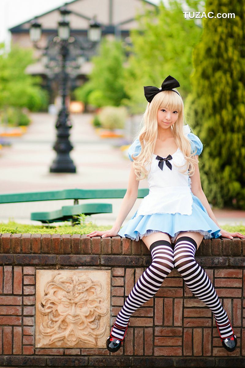 日本CosPlay_Necoco(ねここ) 《爱丽丝梦游仙境》5Set 写真集