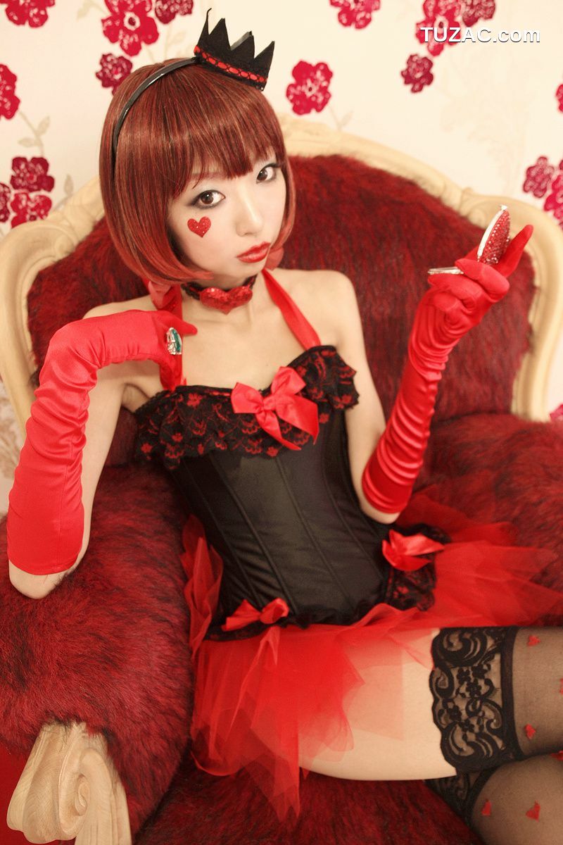 日本CosPlay_Necoco(ねここ) 《爱丽丝梦游仙境》5Set 写真集