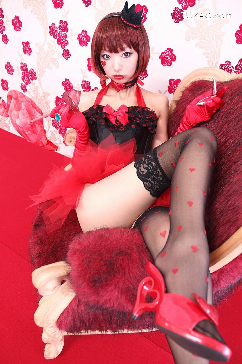 日本CosPlay_Necoco(ねここ) 《爱丽丝梦游仙境》5Set 写真集