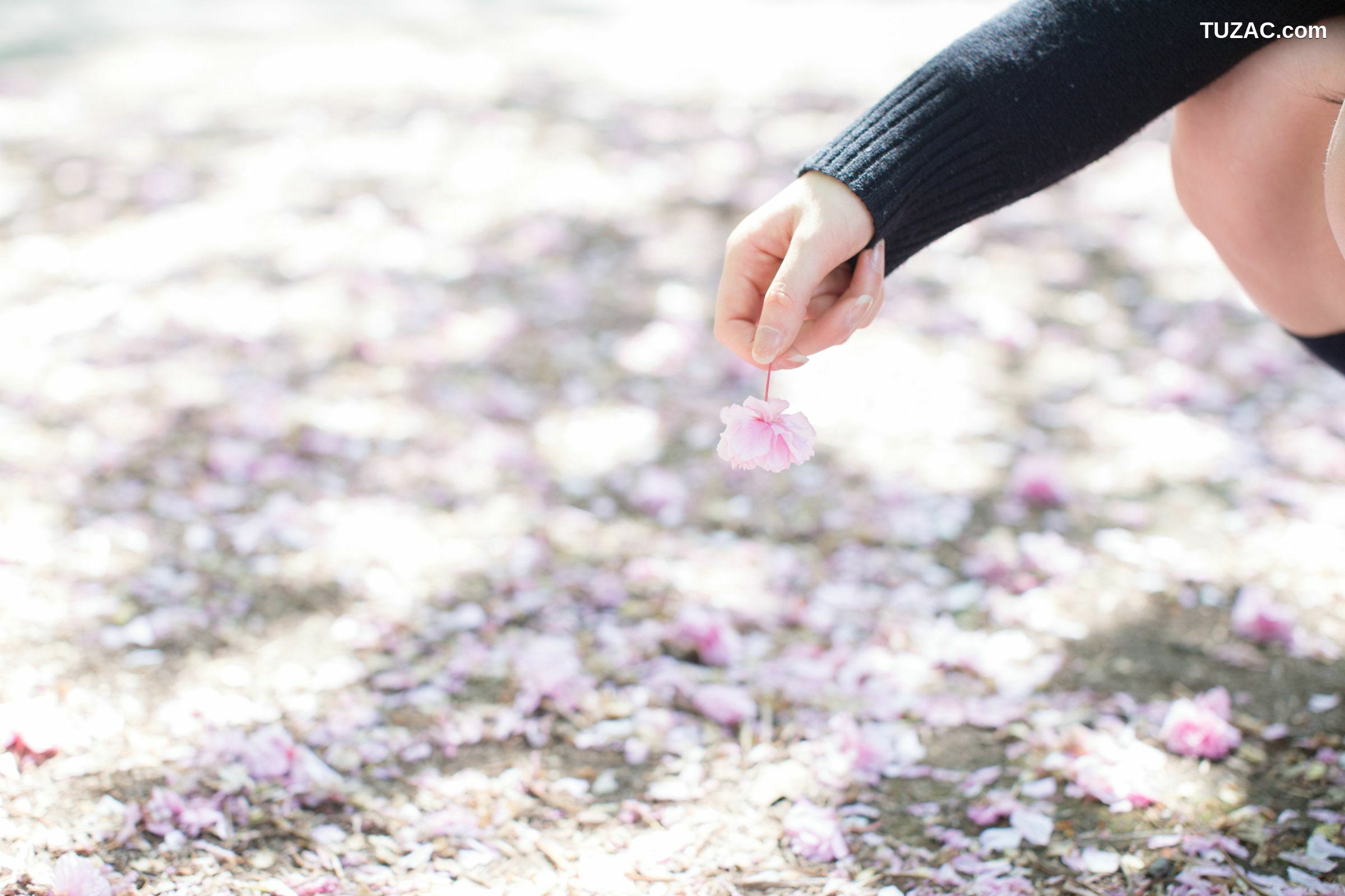 日本CosPlay_Usakichi(うさ吉) 《Idolmaster》渋谷凛 写真集[97P]