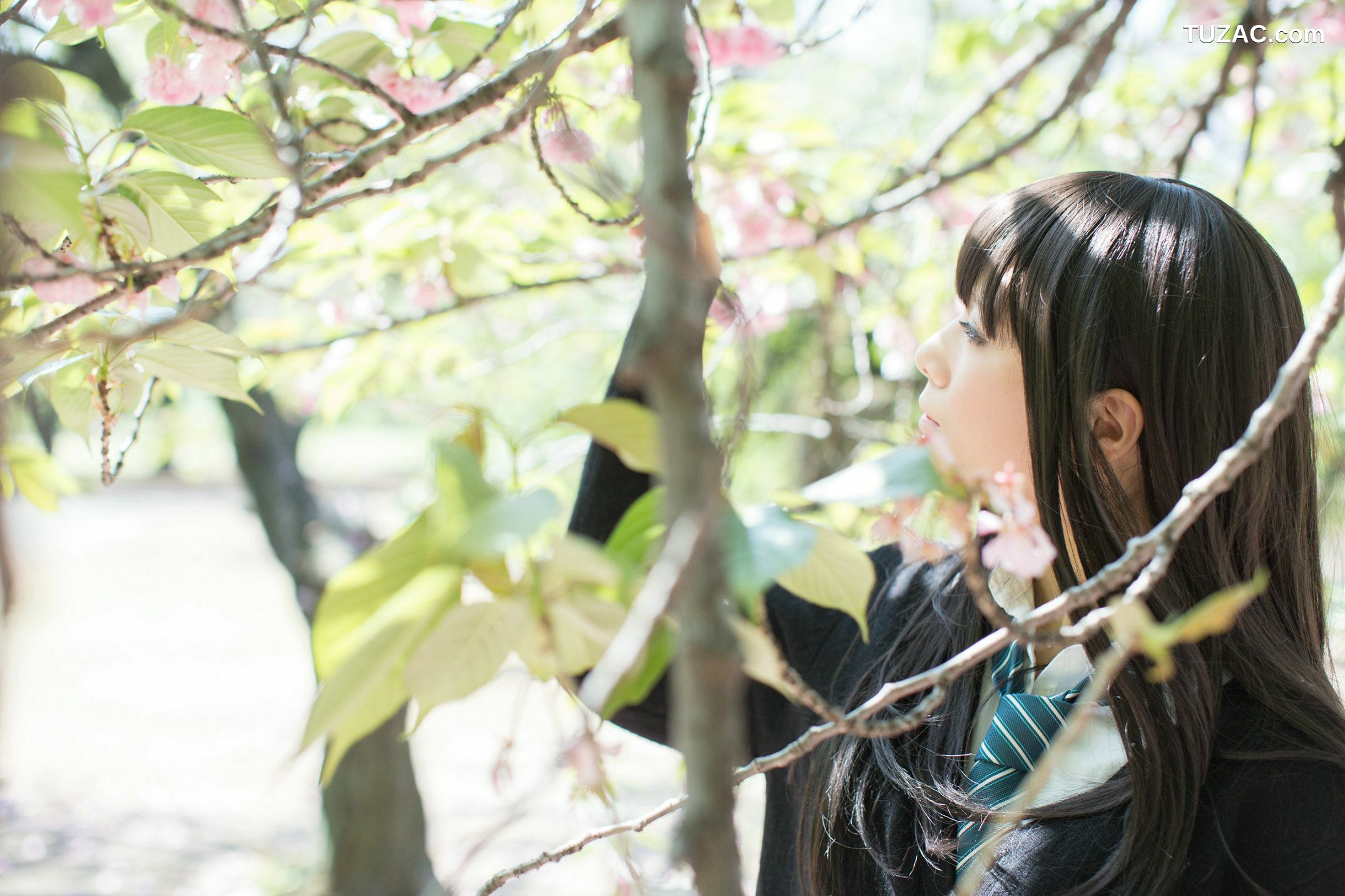 日本CosPlay_Usakichi(うさ吉) 《Idolmaster》渋谷凛 写真集[97P]