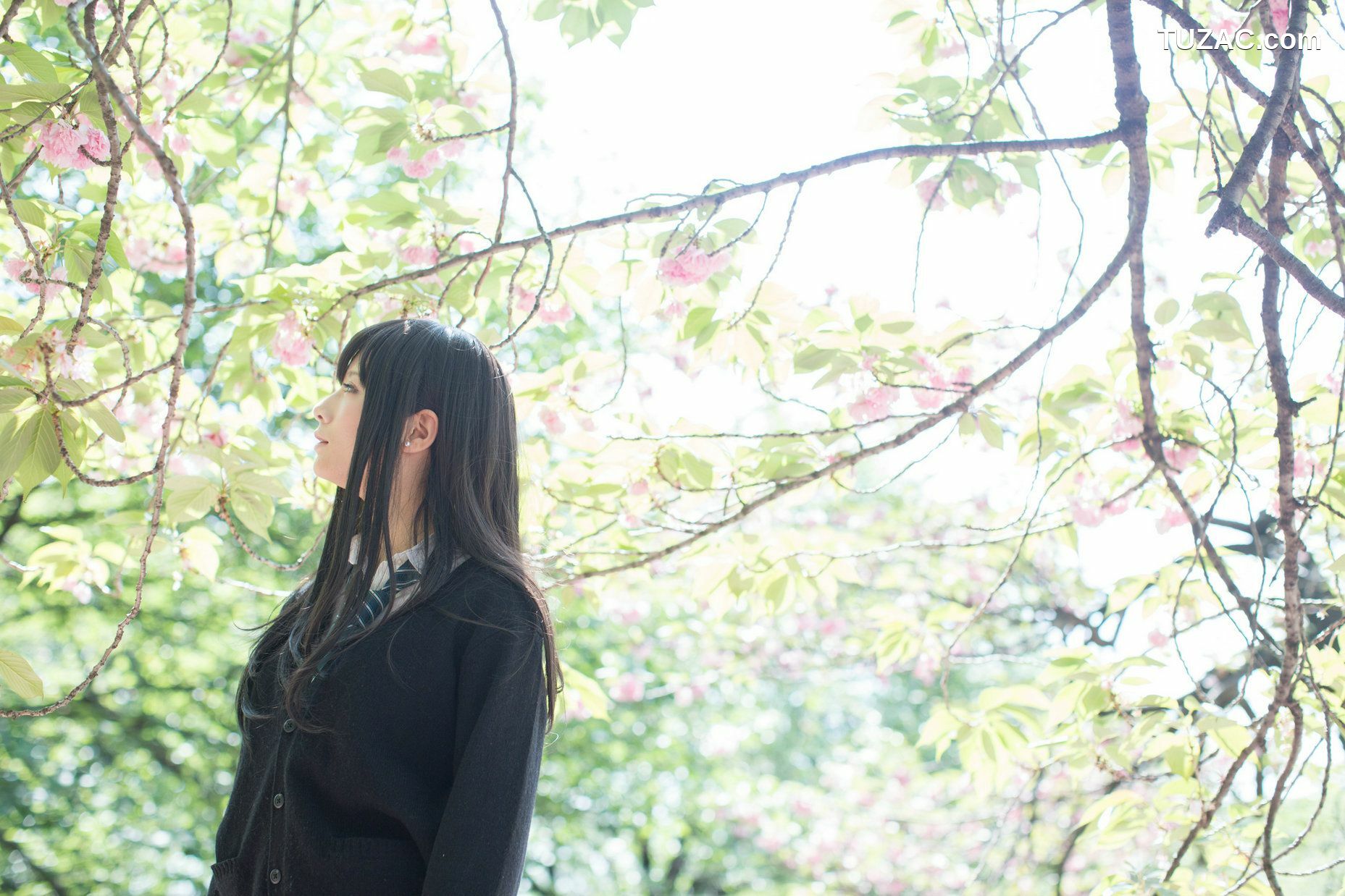 日本CosPlay_Usakichi(うさ吉) 《Idolmaster》渋谷凛 写真集[97P]