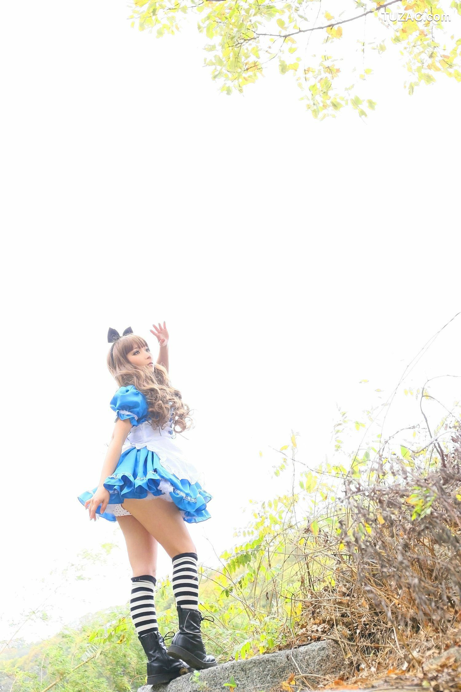 日本CosPlay_日暮らん 《Alice&#039;s Adventures in Wonderland》 Lite.Ver. 写真集[100P]