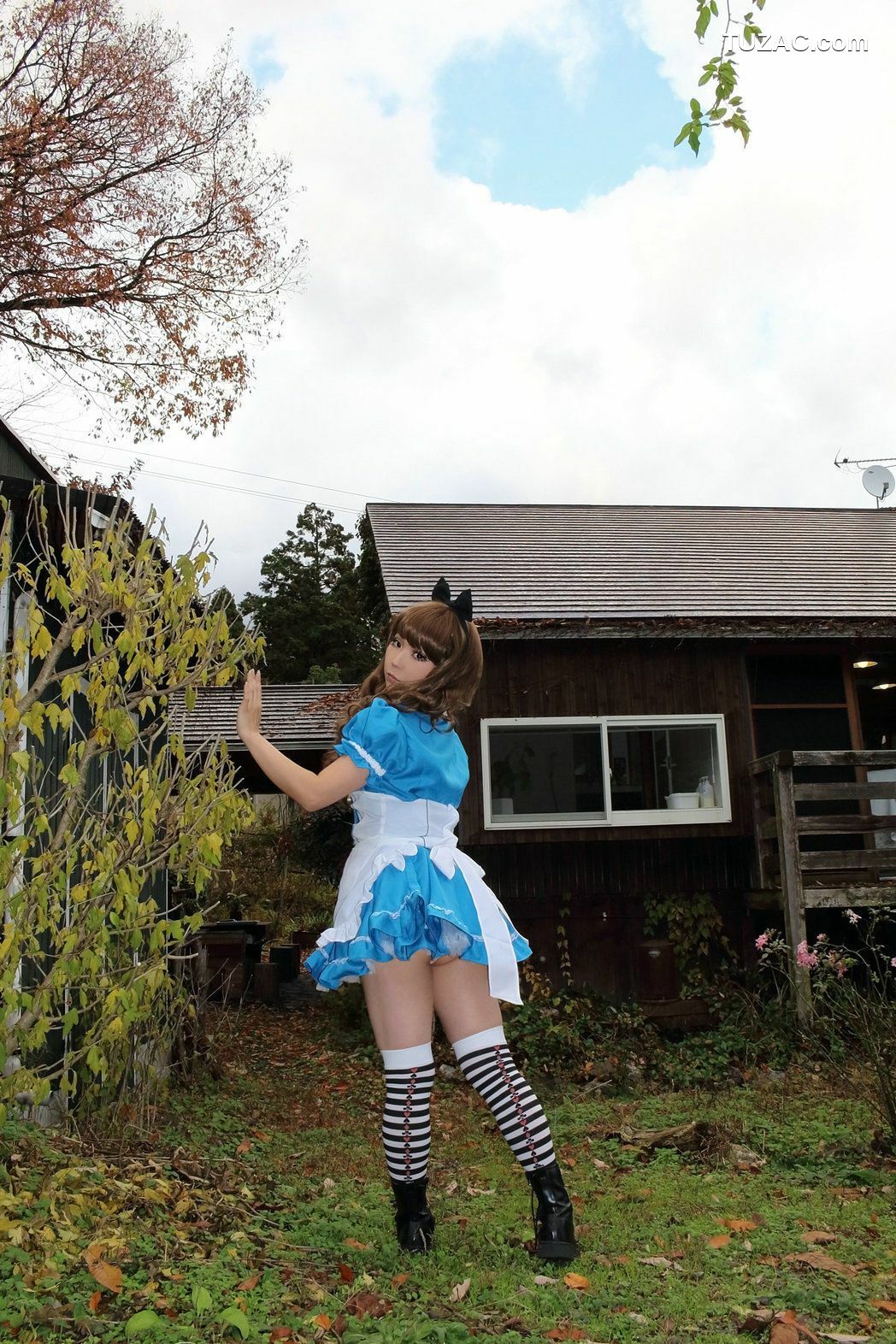 日本CosPlay_日暮らん 《Alice&#039;s Adventures in Wonderland》 Lite.Ver. 写真集[100P]