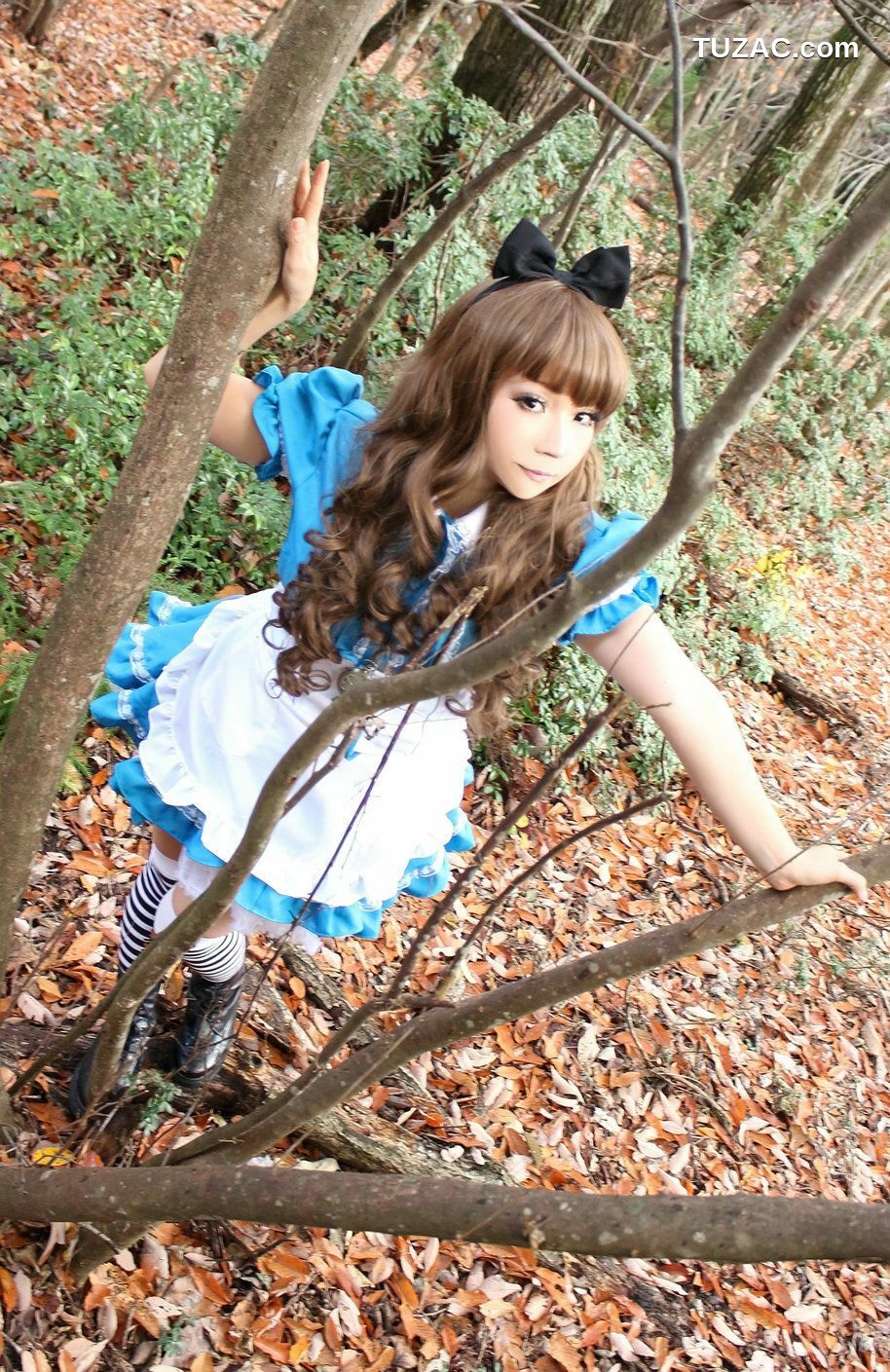 日本CosPlay_日暮らん 《Alice&#039;s Adventures in Wonderland》 Lite.Ver. 写真集[100P]