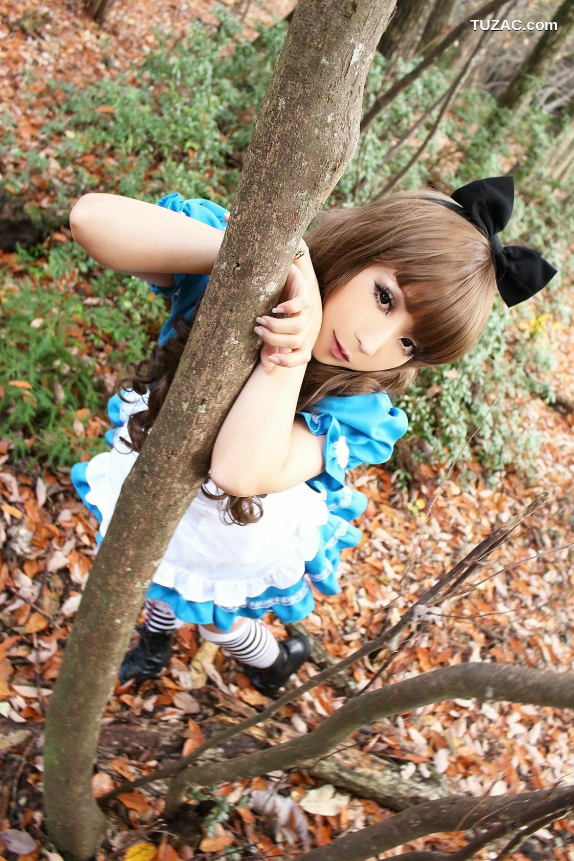 日本CosPlay_日暮らん 《Alice&#039;s Adventures in Wonderland》 Lite.Ver. 写真集[100P]
