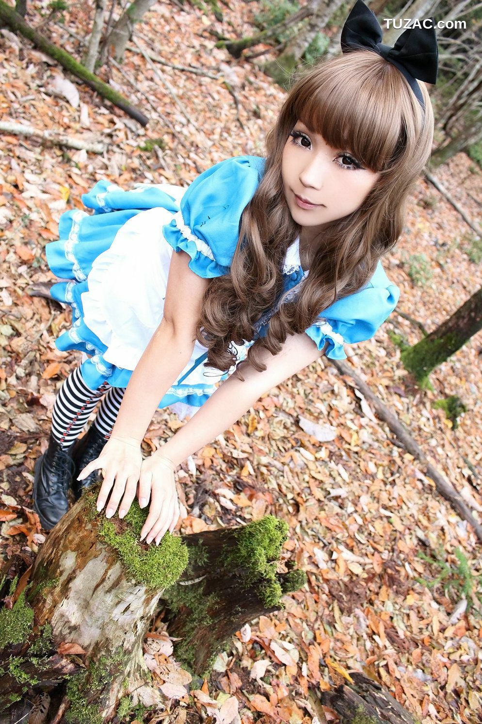 日本CosPlay_日暮らん 《Alice&#039;s Adventures in Wonderland》 Lite.Ver. 写真集[100P]