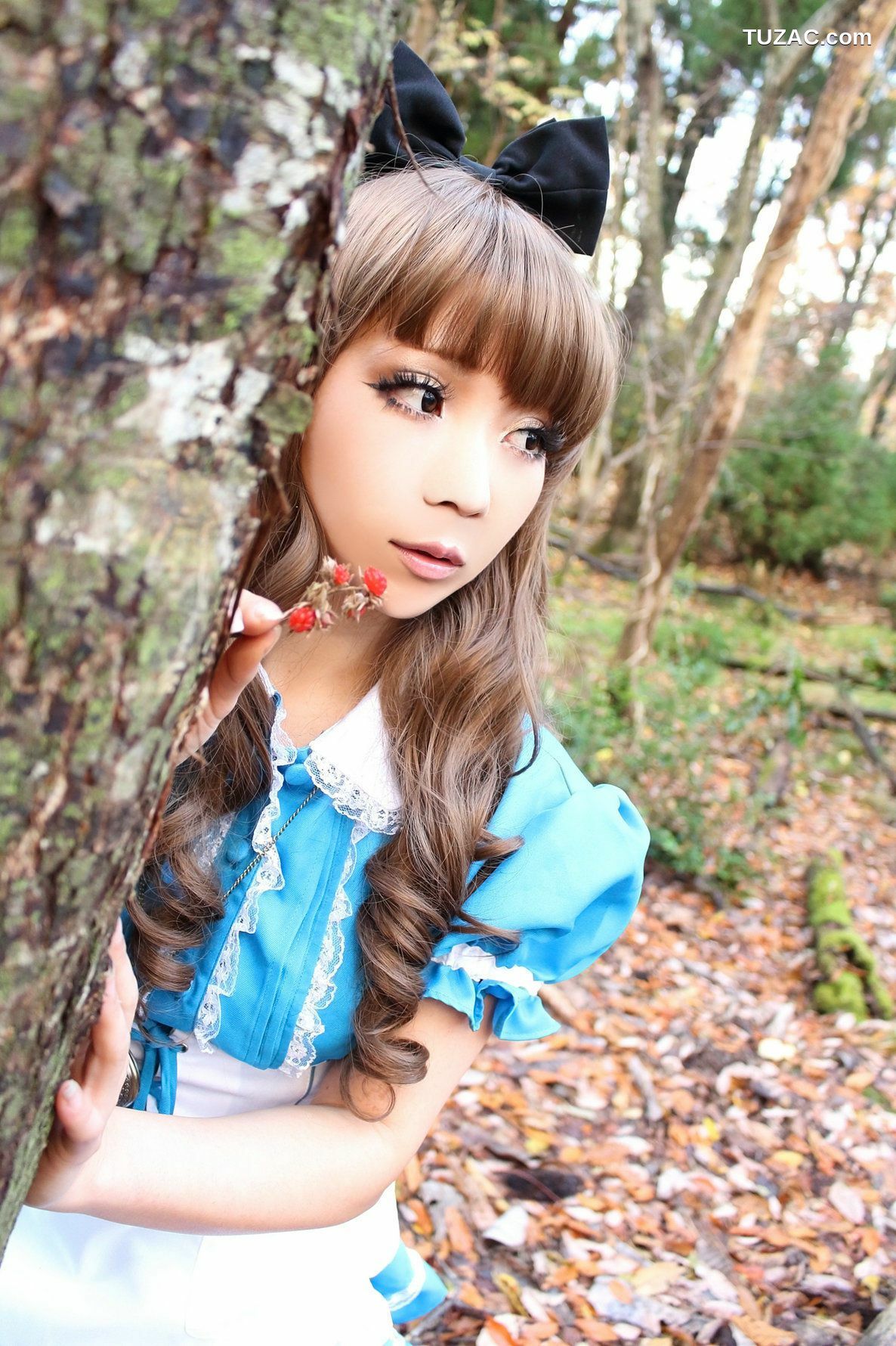 日本CosPlay_日暮らん 《Alice&#039;s Adventures in Wonderland》 Lite.Ver. 写真集[100P]