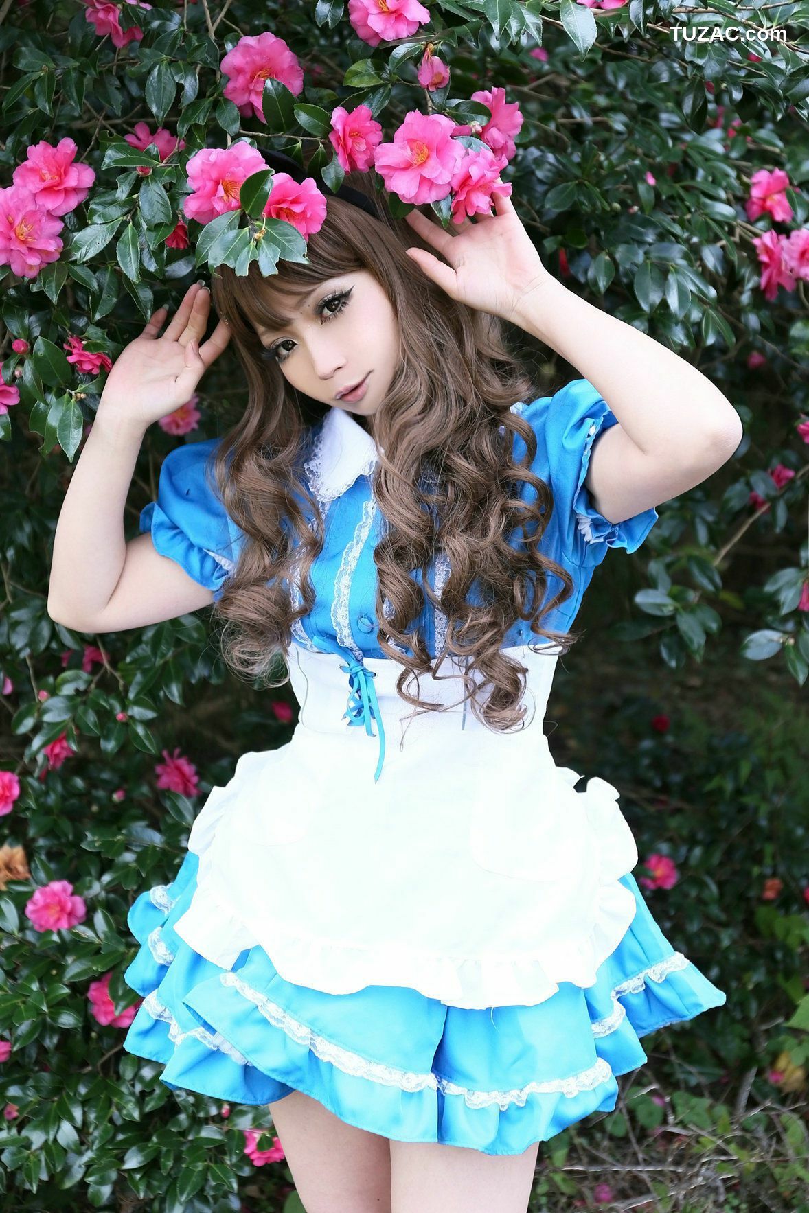 日本CosPlay_日暮らん 《Alice's Adventures in Wonderland》 Lite.Ver. 写真集[100P]
