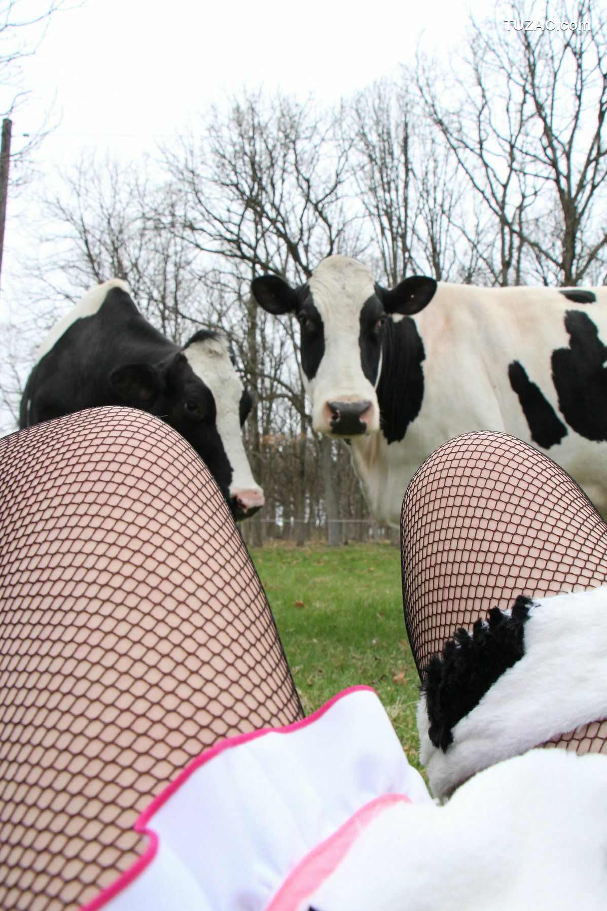 日本CosPlay_日暮玲(日暮りん) Ushi-musume [日暮企画] 写真集[120P]