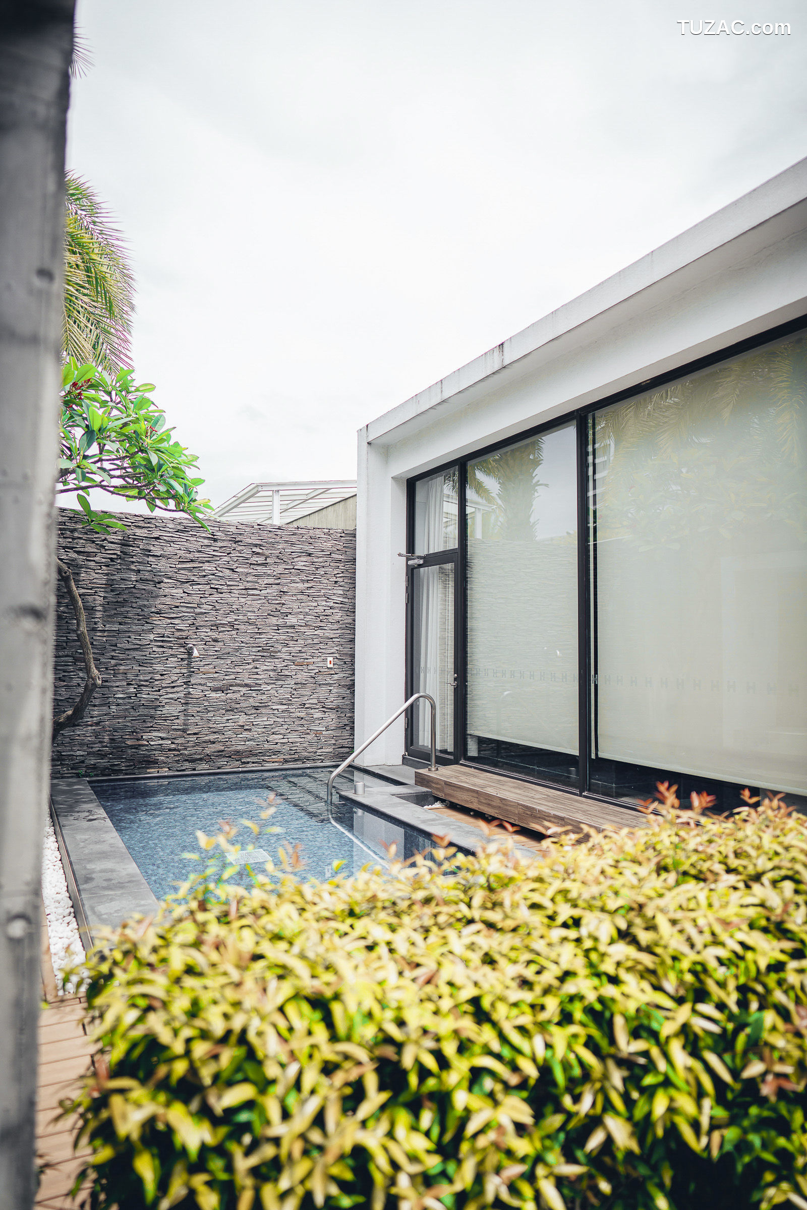 JVID-辰辰-飄飄-情色国王游戏-国王视角-讓兩位女神服侍-誰才是國王-2022.06.03