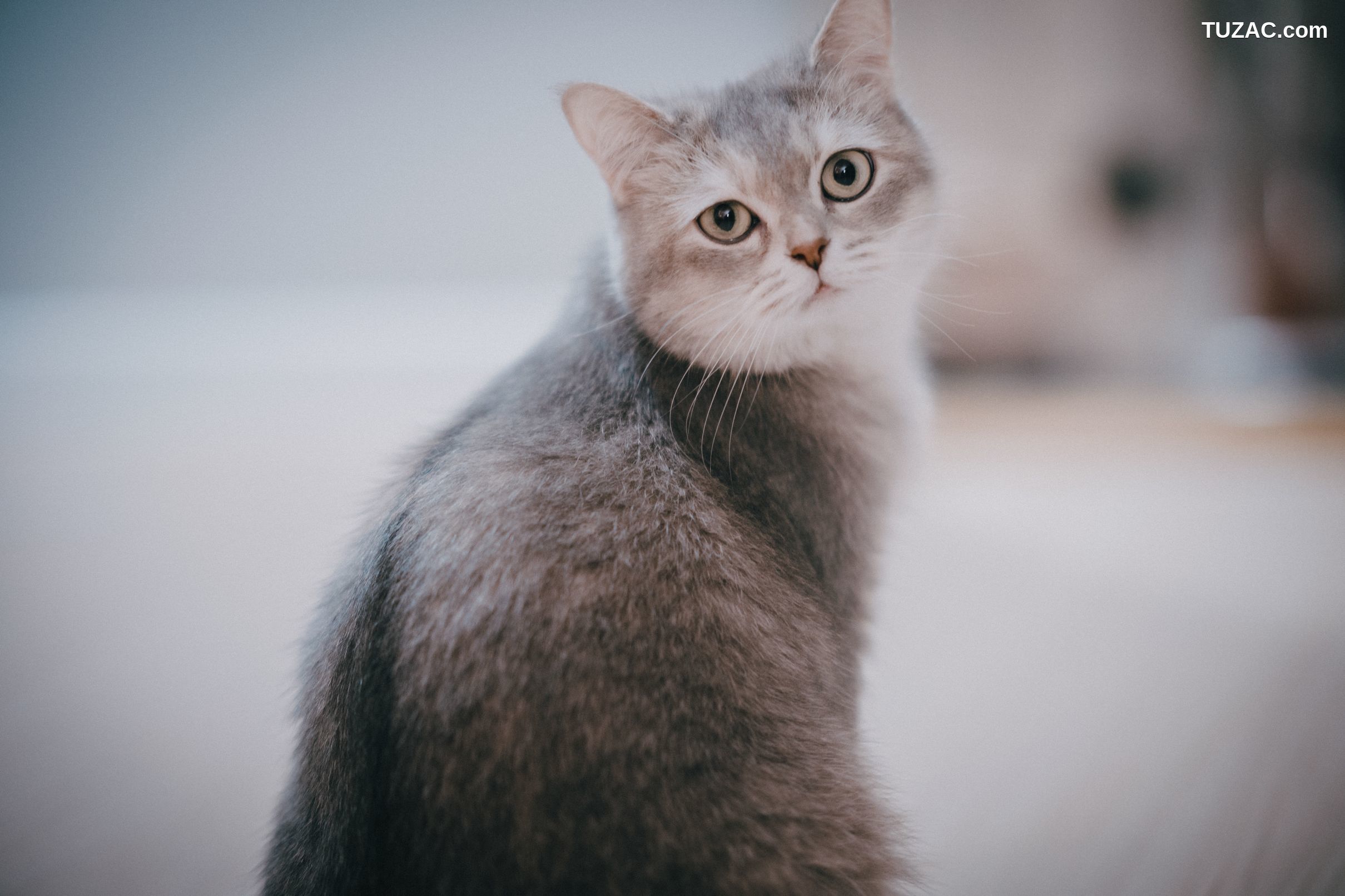 孙乐乐-Son-Ye-Eun-Seduction-诱惑-S