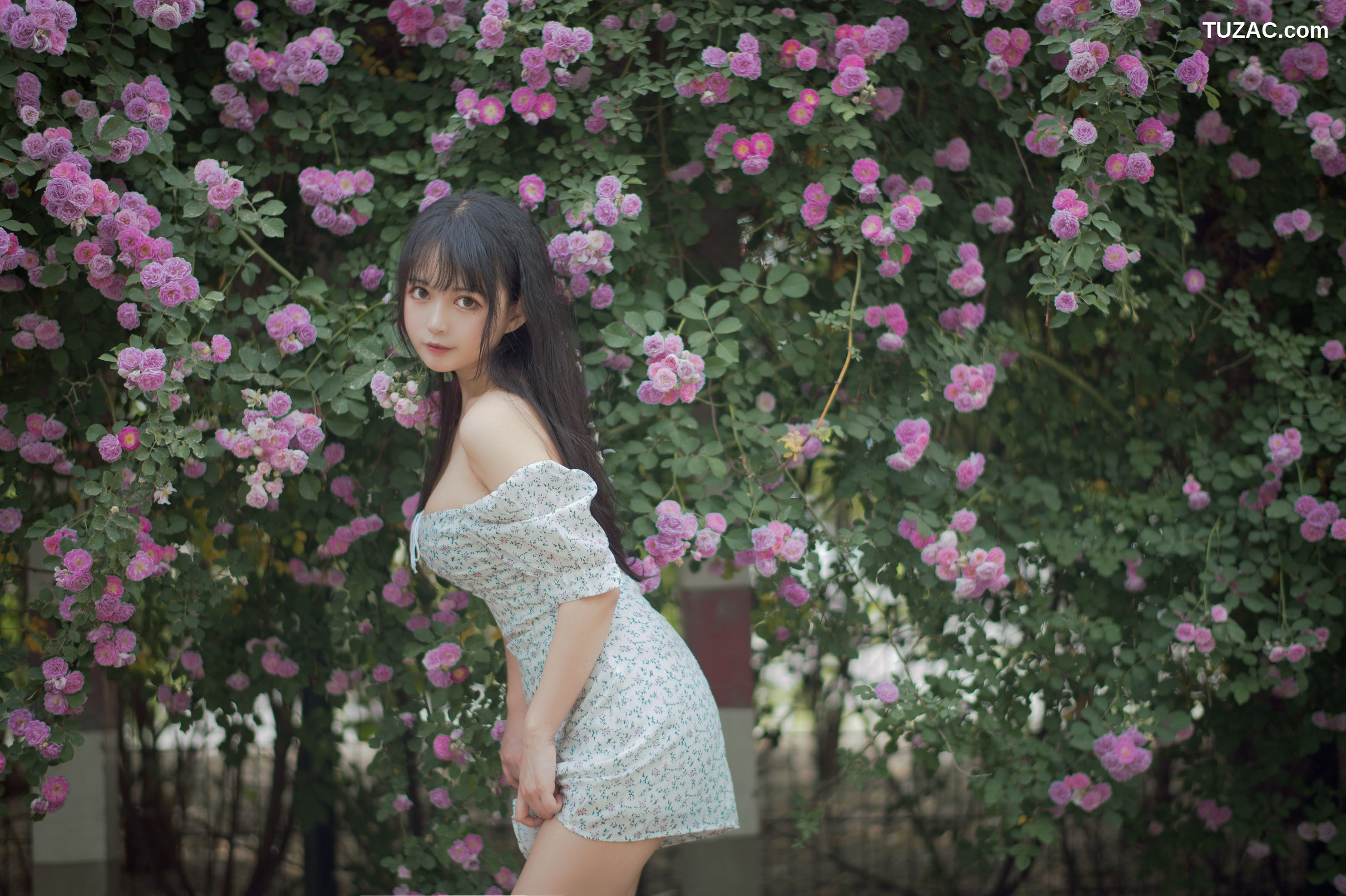 MTCos喵糖映画-Vol.338-《蔷薇少女》