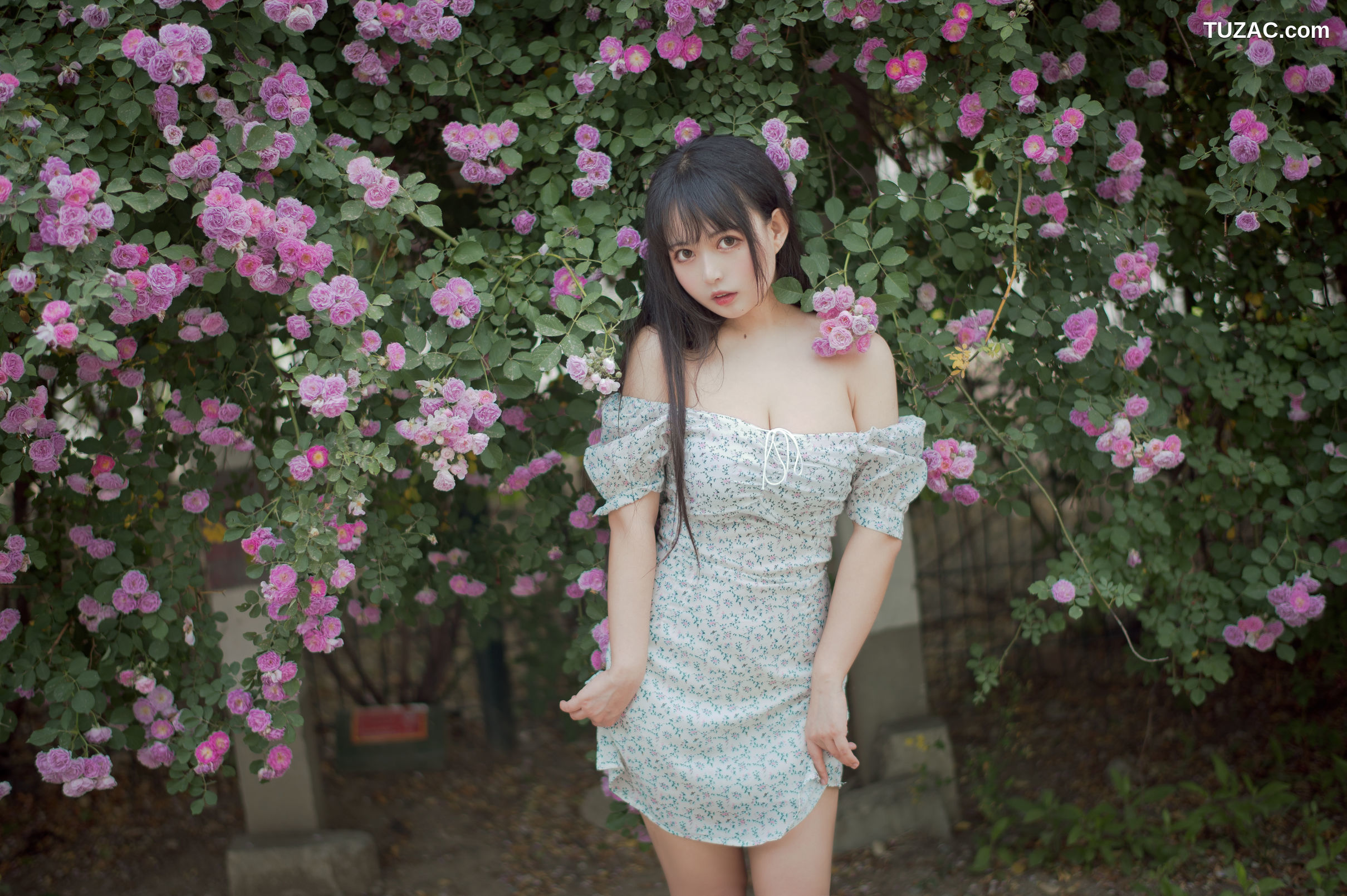 MTCos喵糖映画-Vol.338-《蔷薇少女》