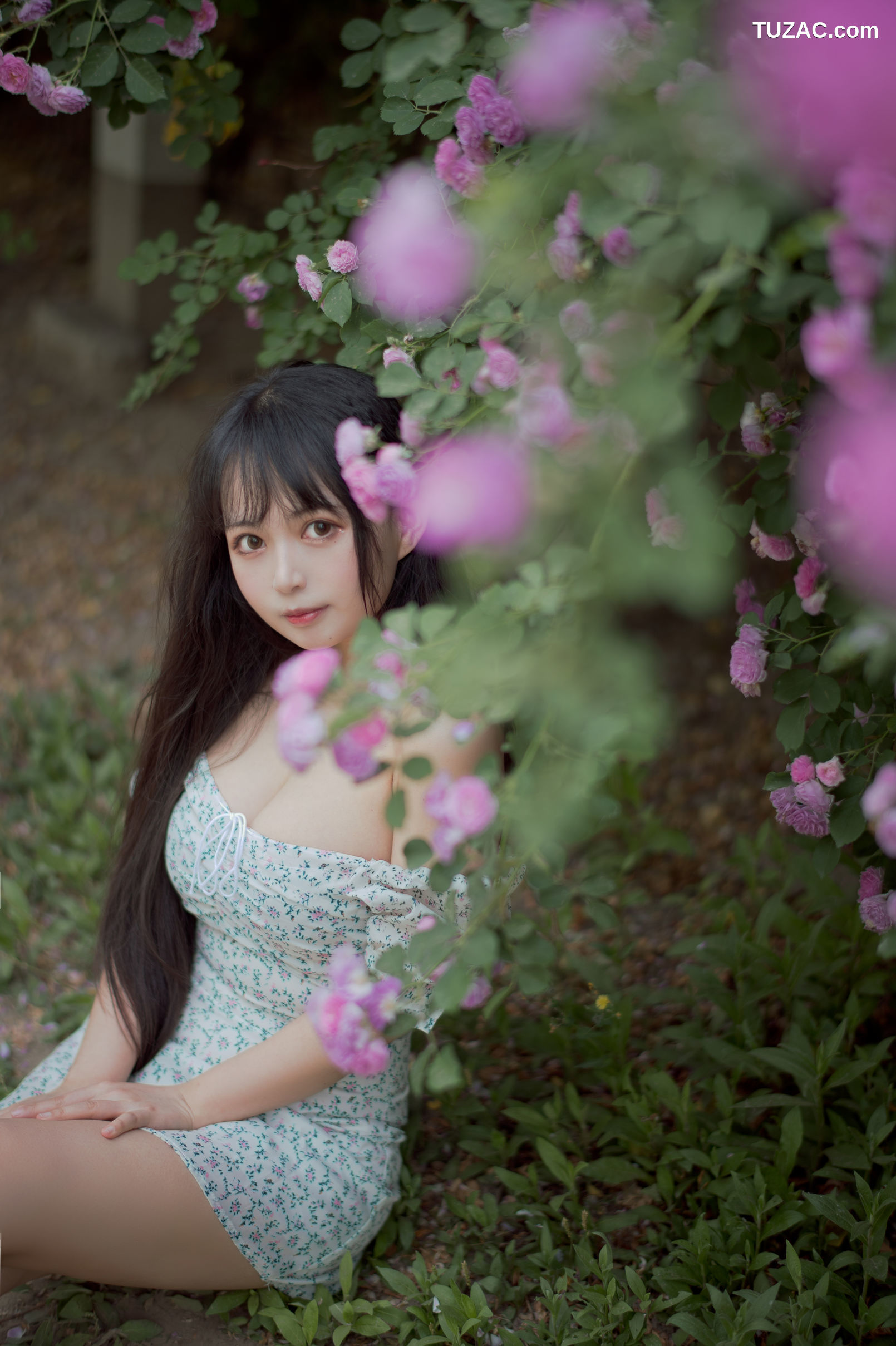 MTCos喵糖映画-Vol.338-《蔷薇少女》