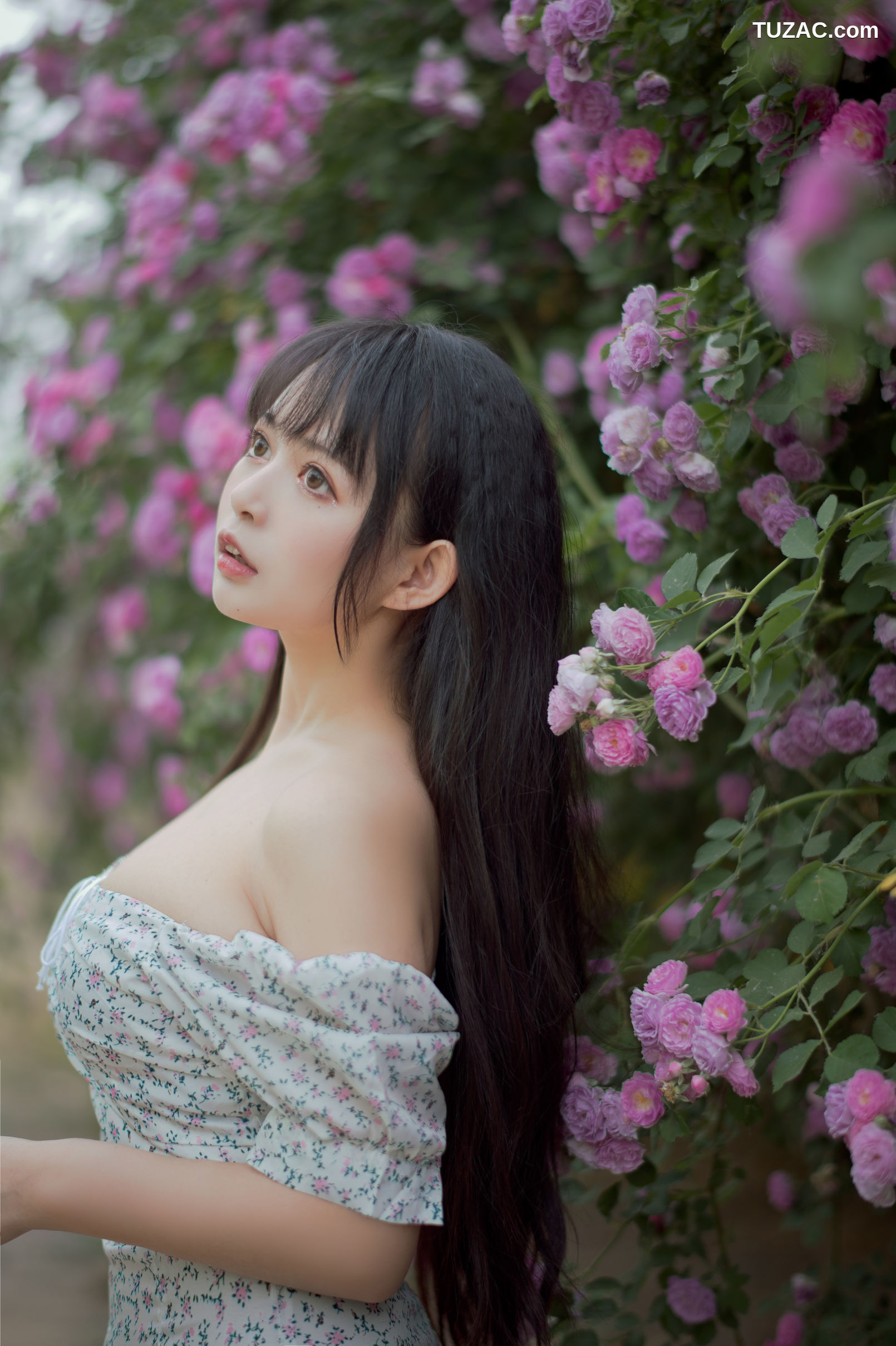 MTCos喵糖映画-Vol.338-《蔷薇少女》