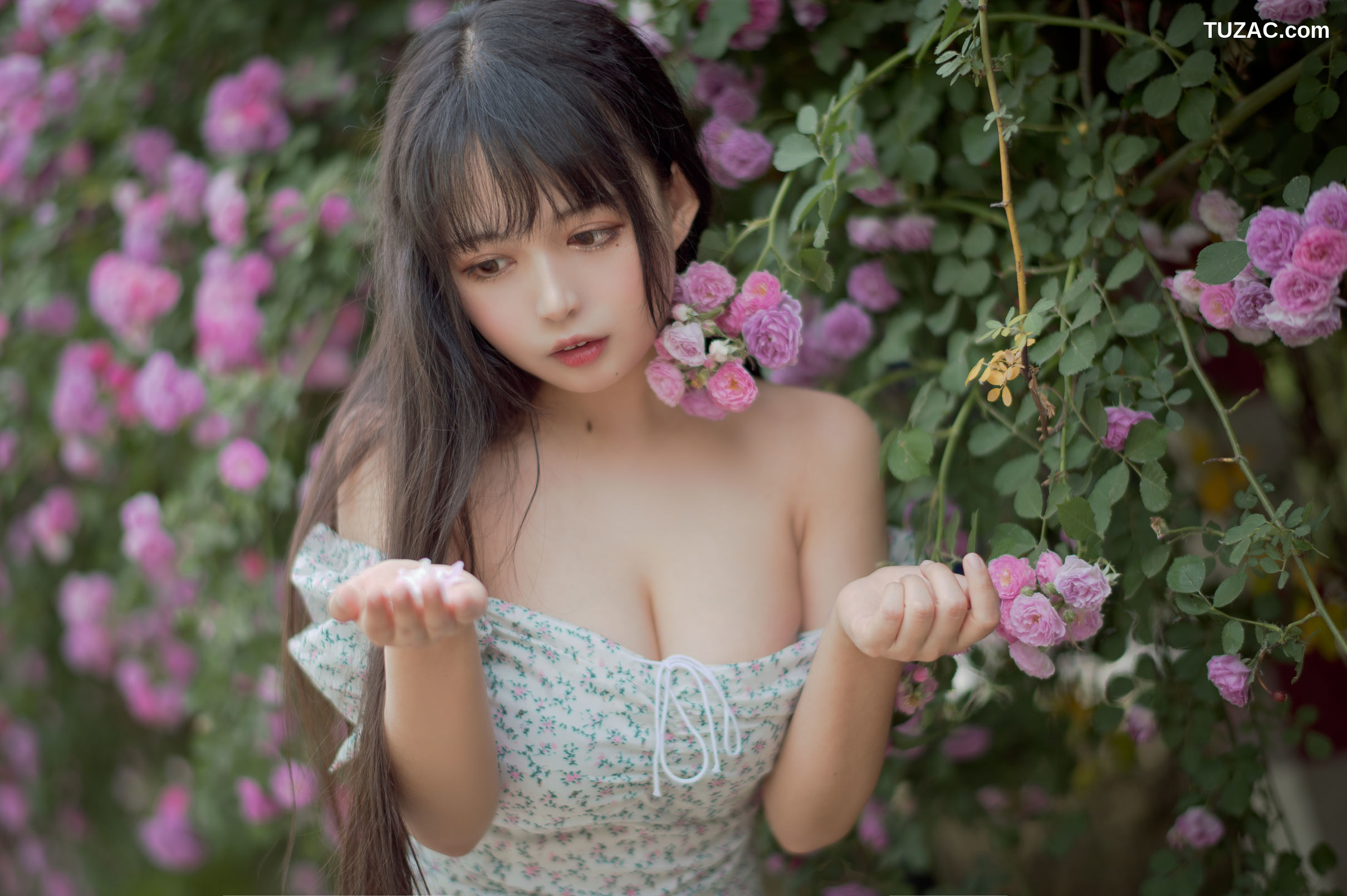 MTCos喵糖映画-Vol.338-《蔷薇少女》