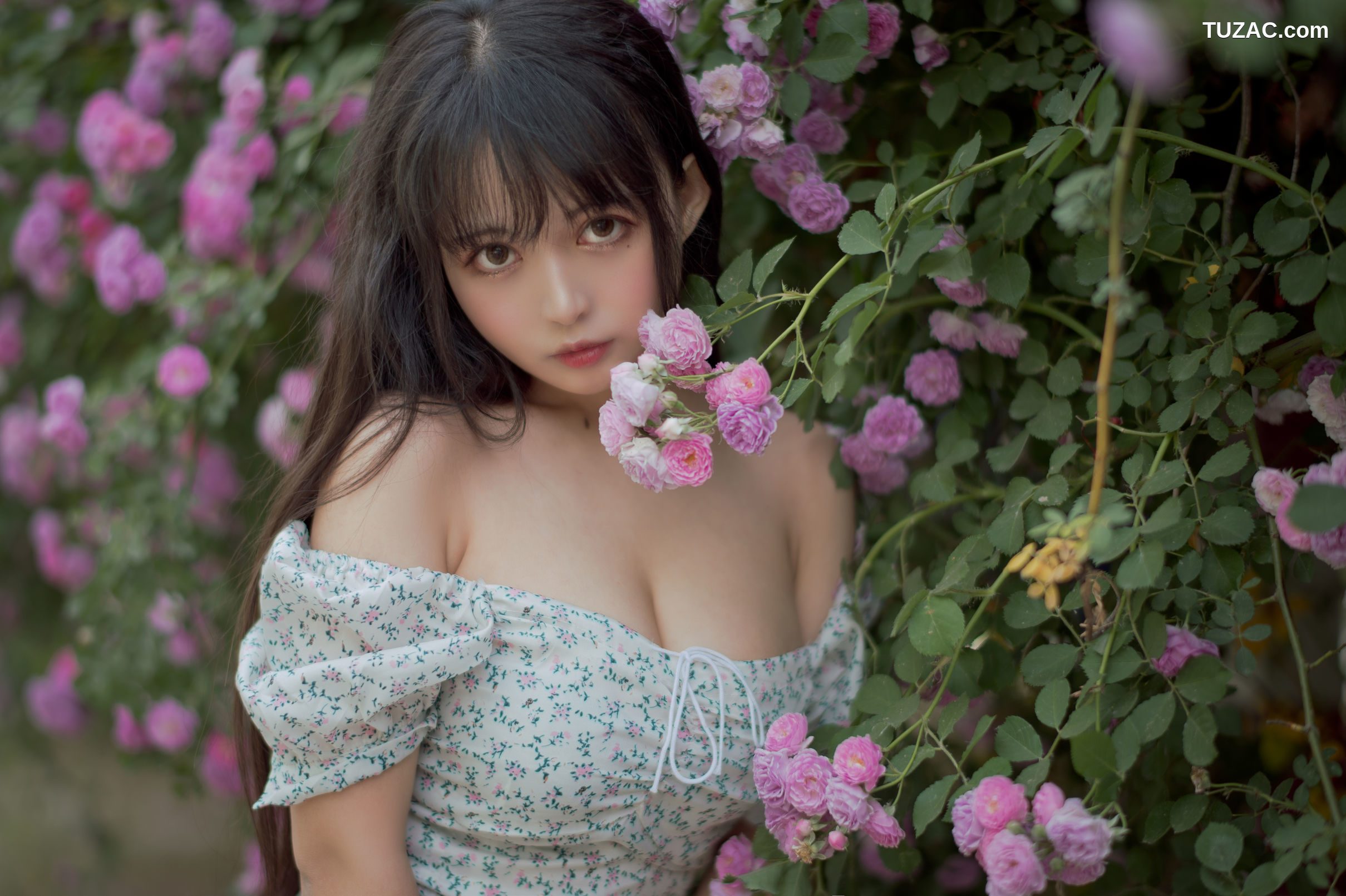 MTCos喵糖映画-Vol.338-《蔷薇少女》