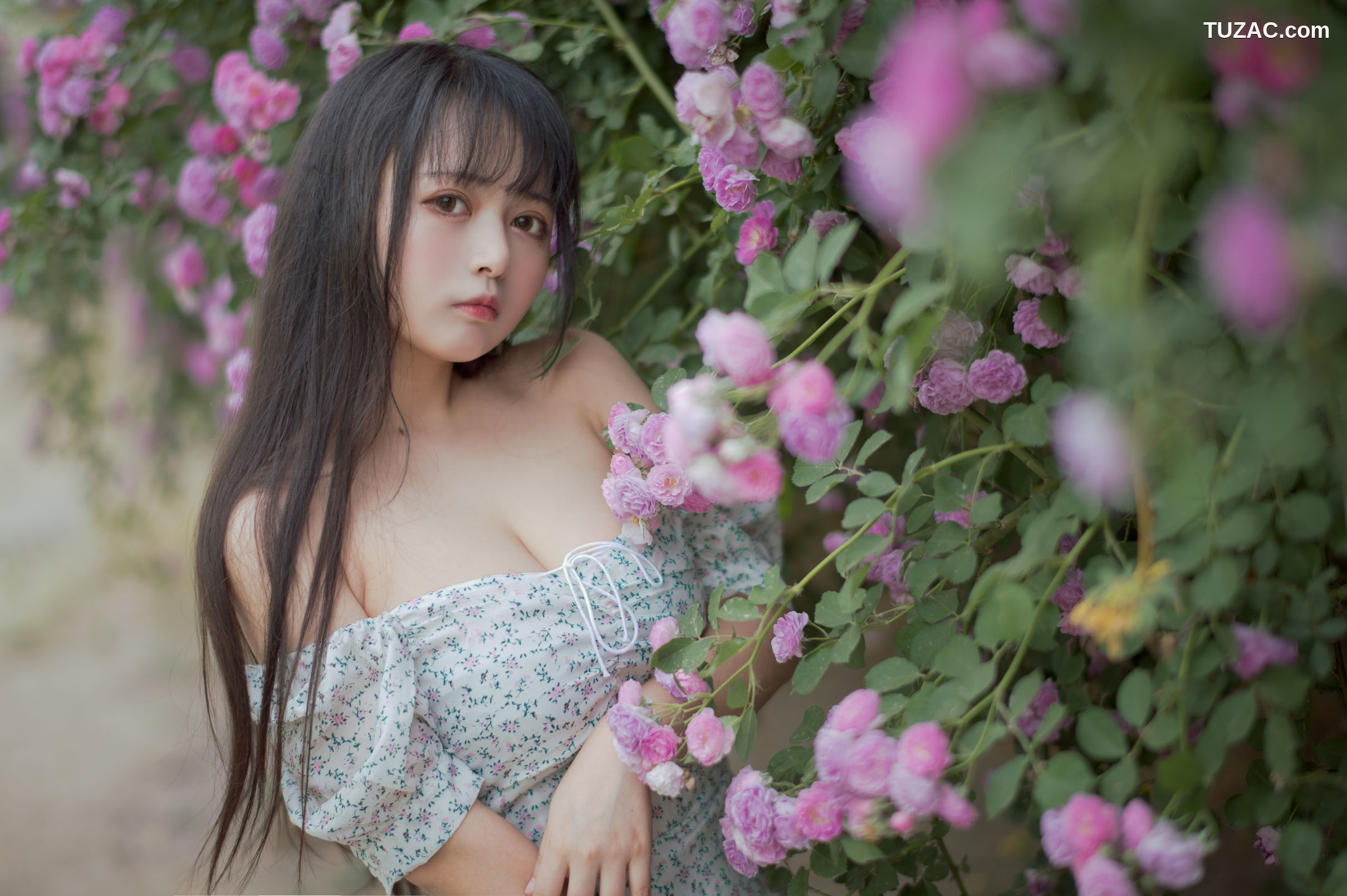 MTCos喵糖映画-Vol.338-《蔷薇少女》