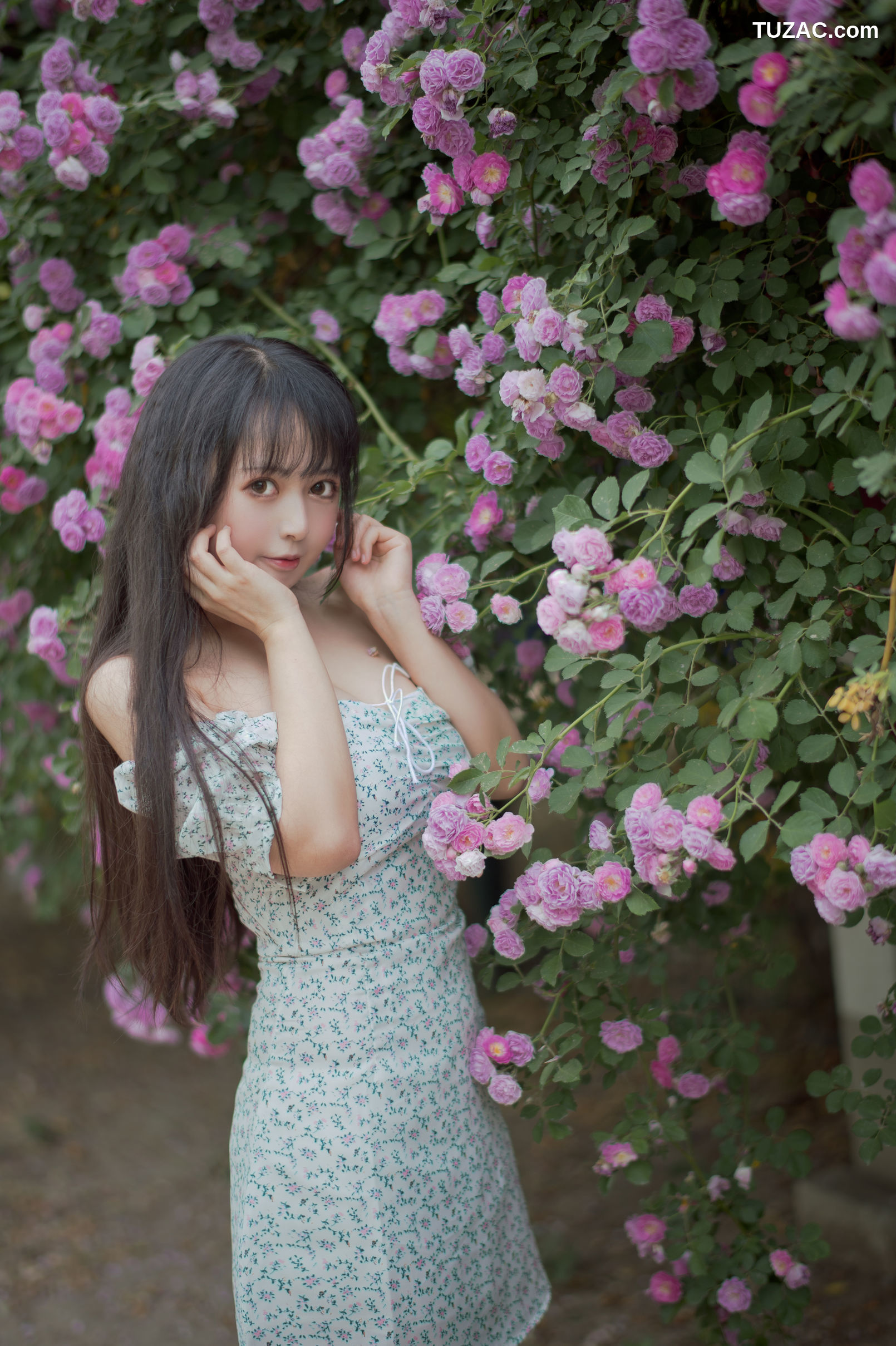MTCos喵糖映画-Vol.338-《蔷薇少女》
