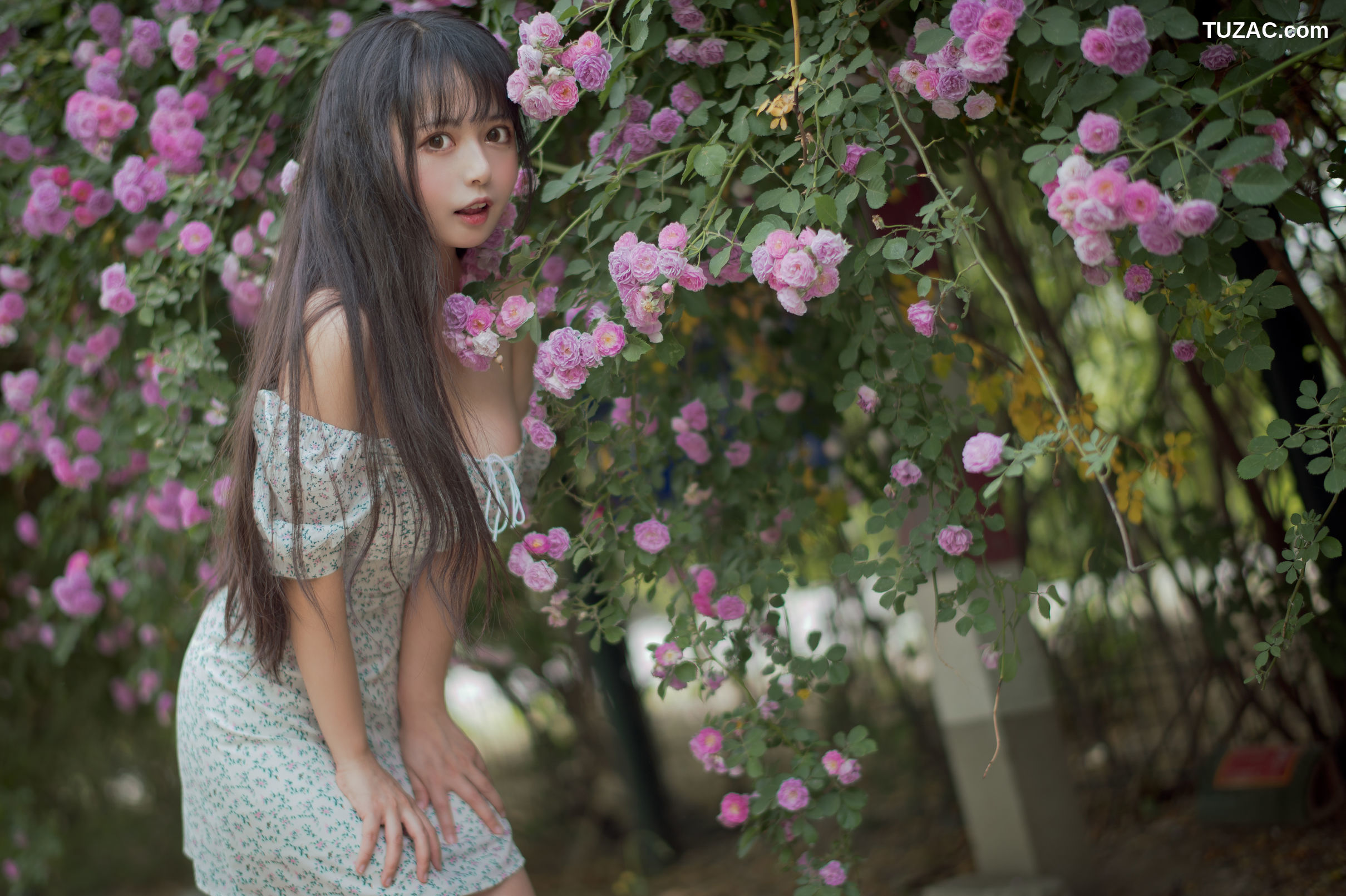 MTCos喵糖映画-Vol.338-《蔷薇少女》