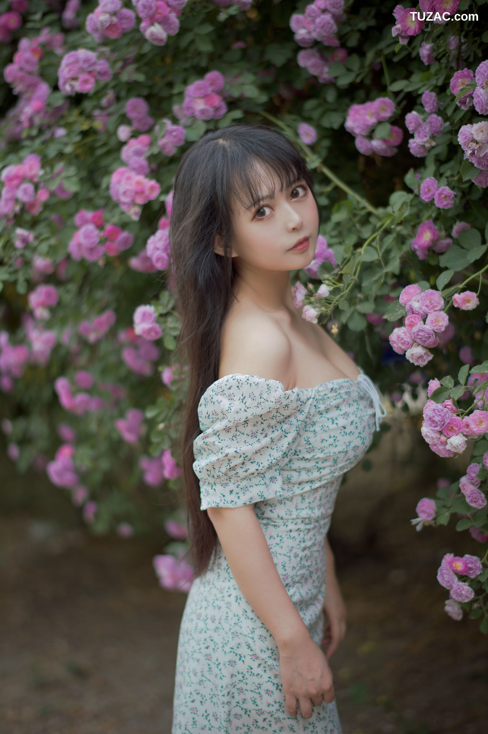 MTCos喵糖映画-Vol.338-《蔷薇少女》