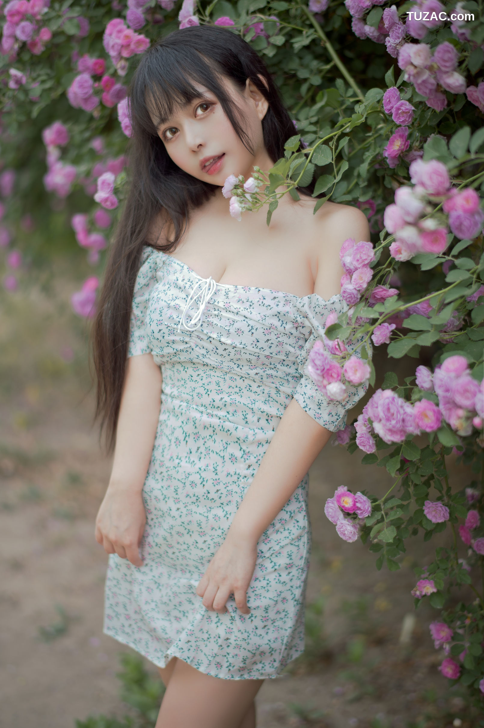 MTCos喵糖映画-Vol.338-《蔷薇少女》