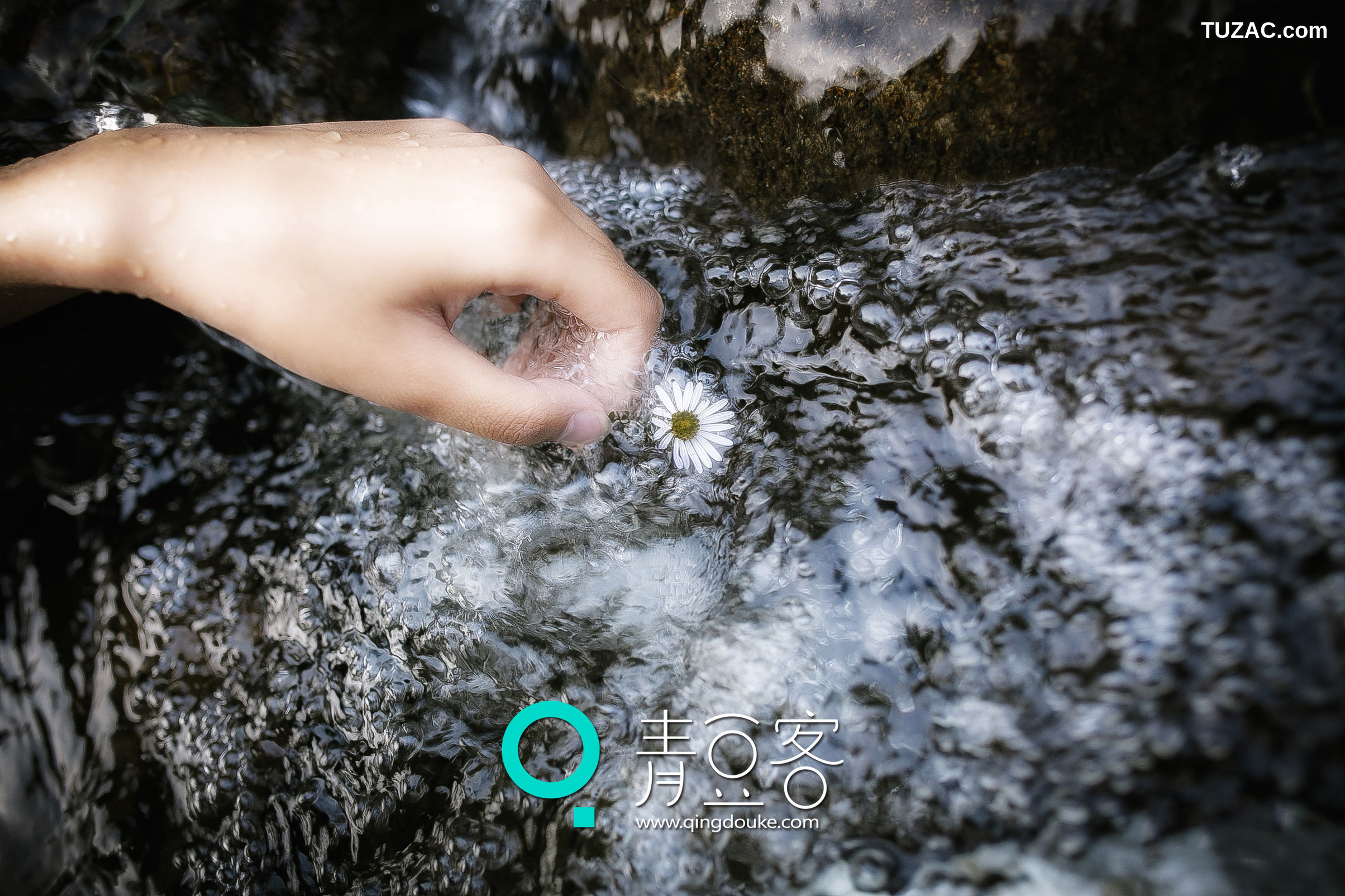 Qingdouke青豆客-徐畅-2015.02.05